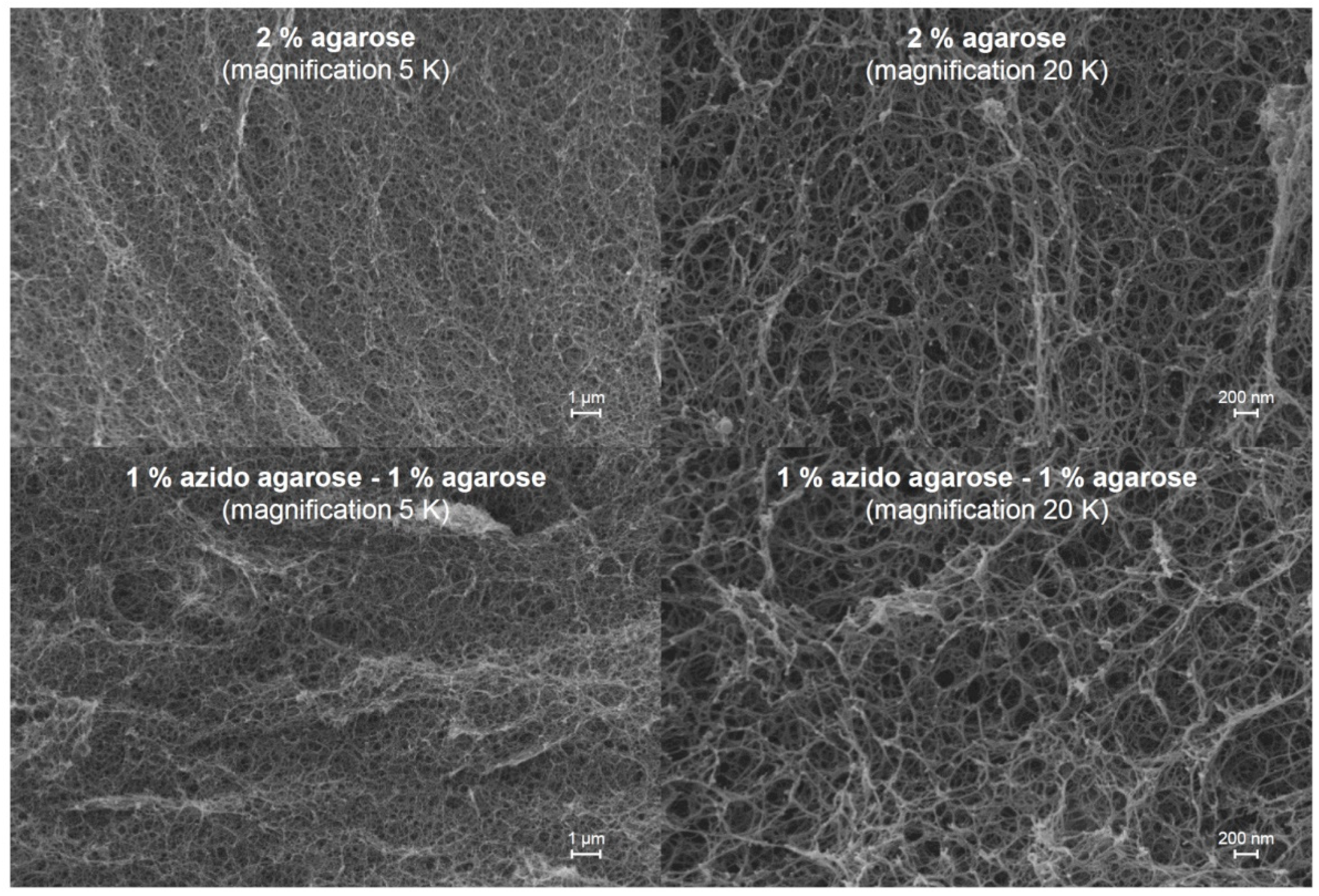 Polysaccharides 05 00014 g005