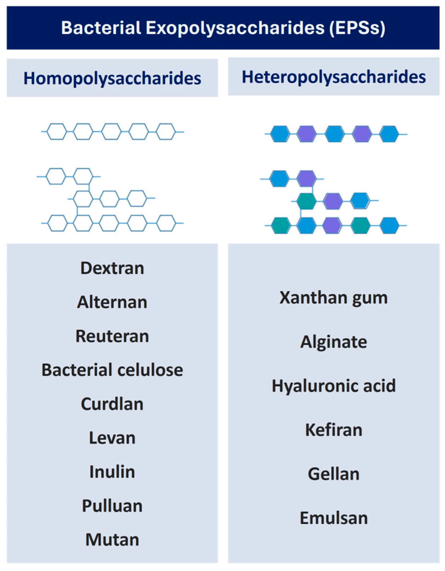 プレステーション3 Microbial Exopolysaccharides: Structure, Diversity
