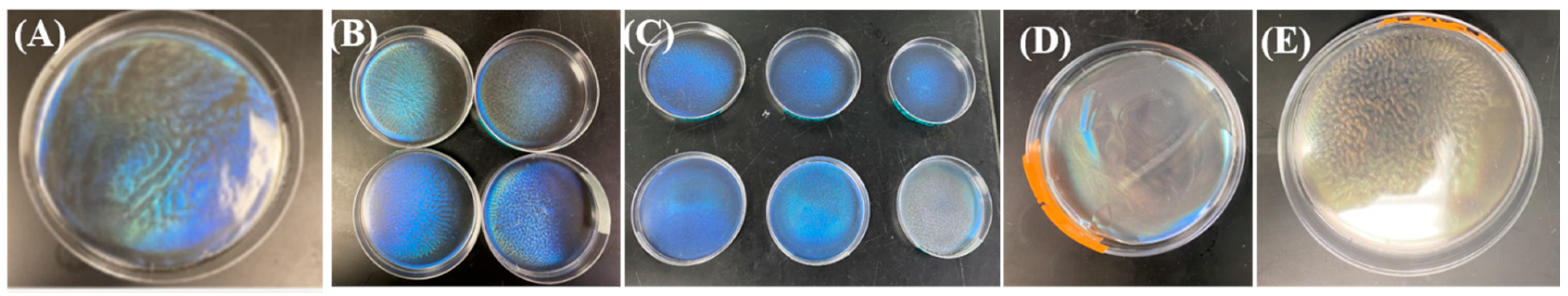 Polysaccharides 05 00019 g002