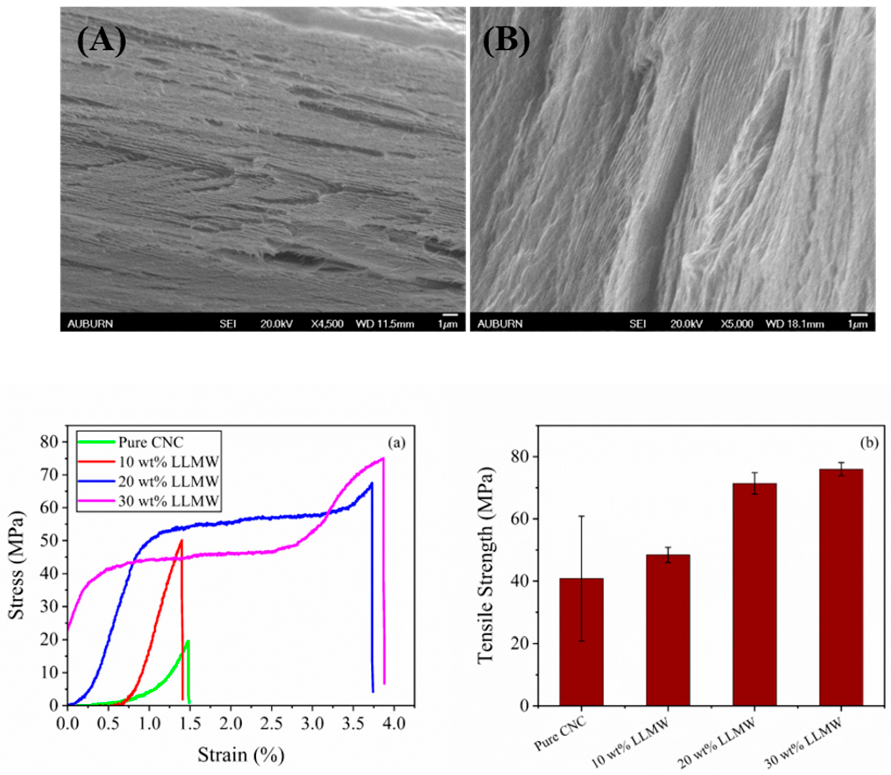 Polysaccharides 05 00019 g009