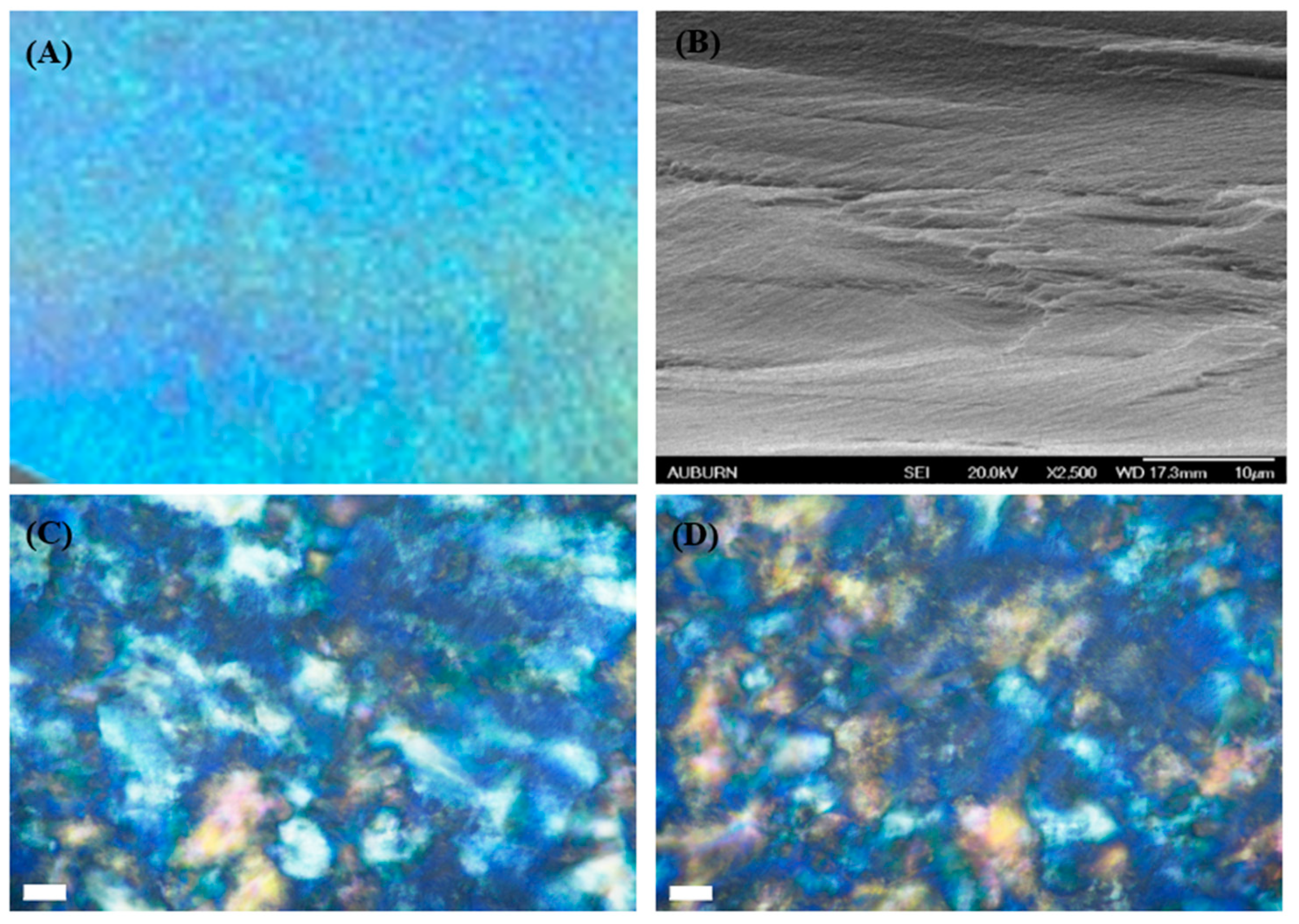 Polysaccharides 05 00019 g010