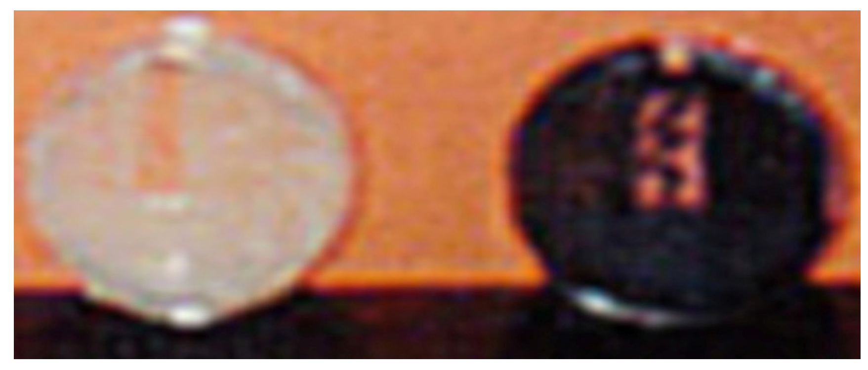 Polysaccharides 05 00020 g002 Polysaccharides 05 00020 g002