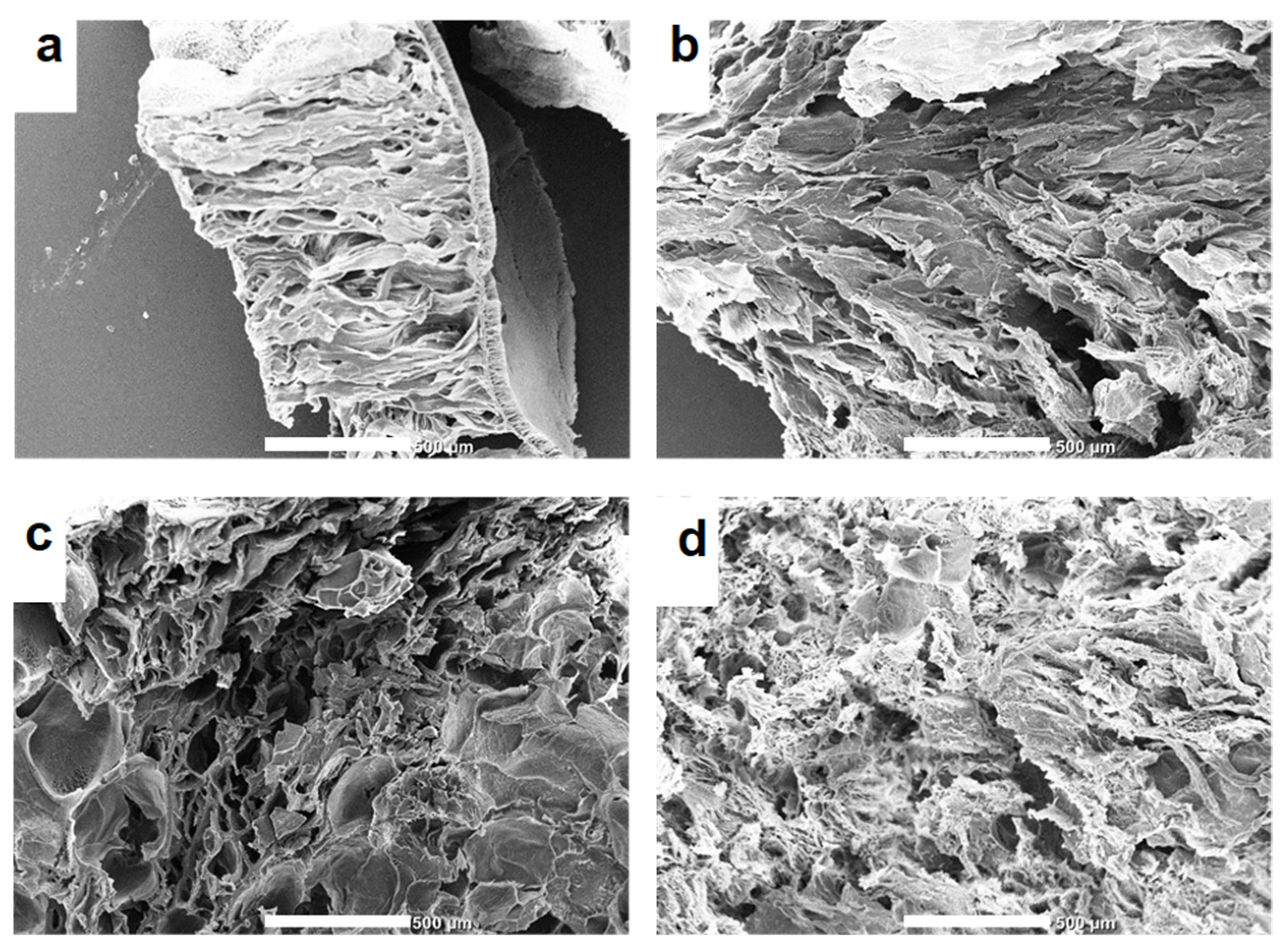 Polysaccharides 05 00021 g006
