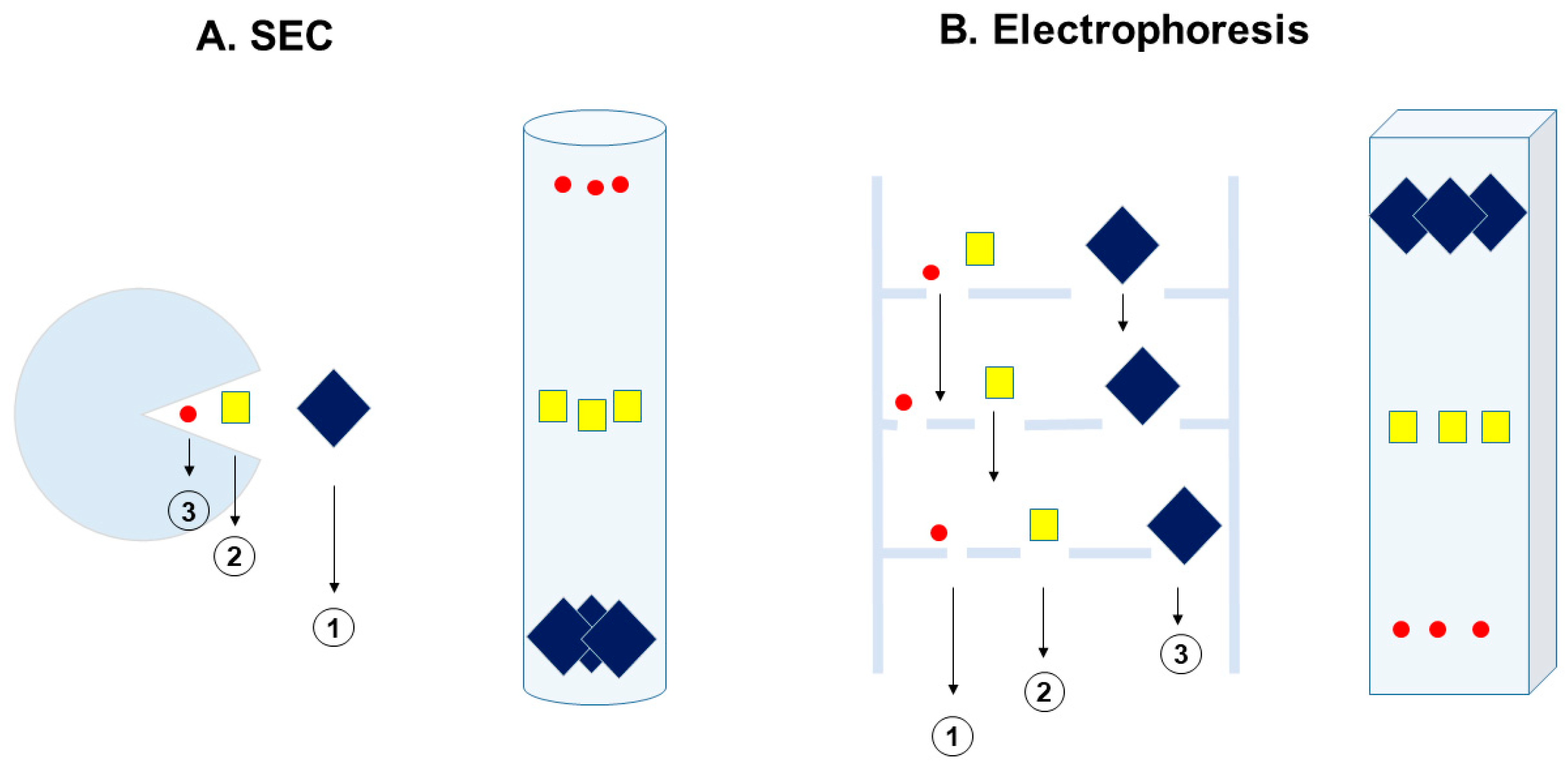 Polysaccharides 05 00024 g001 Polysaccharides 05 00024 g001