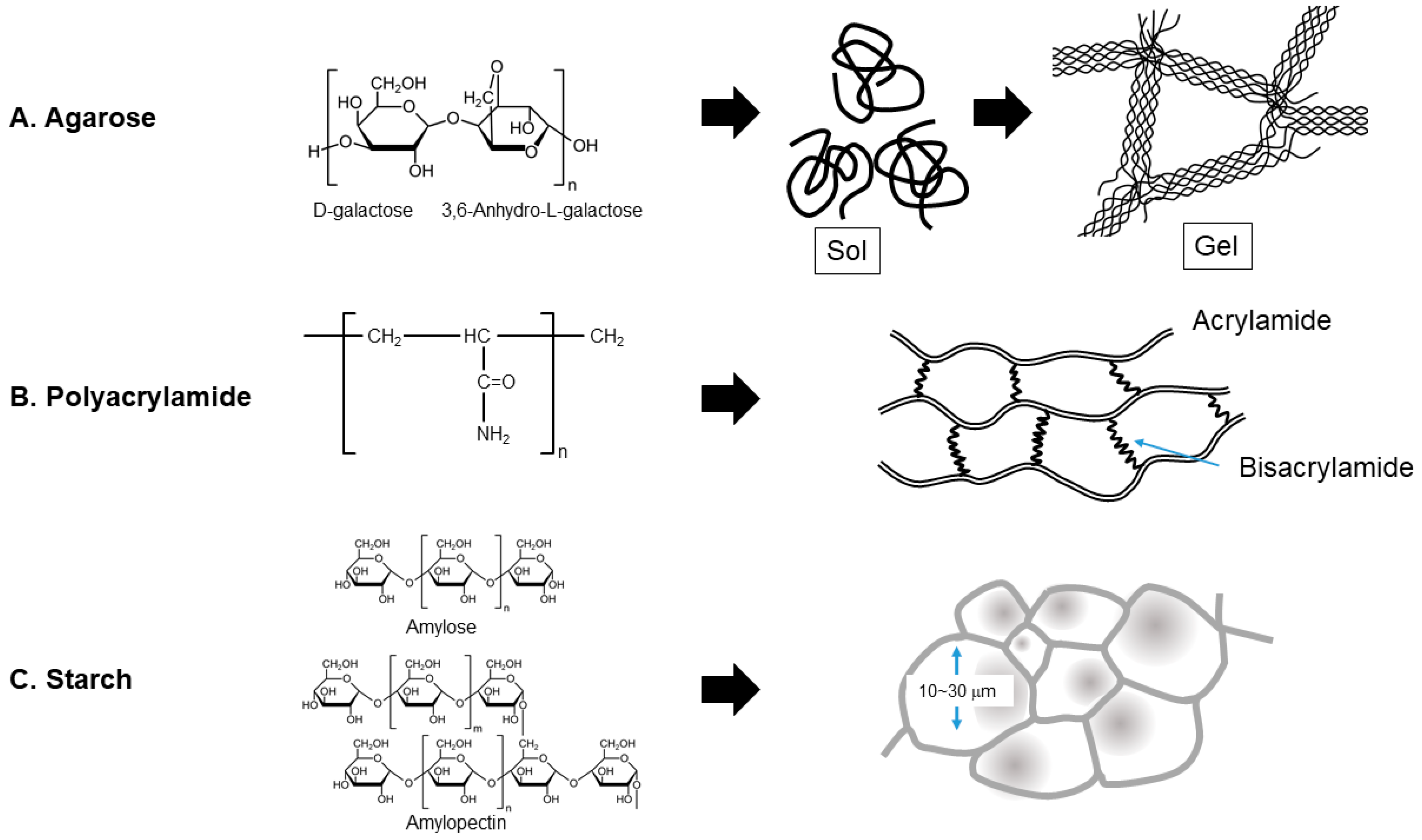 Polysaccharides 05 00024 g002 Polysaccharides 05 00024 g002