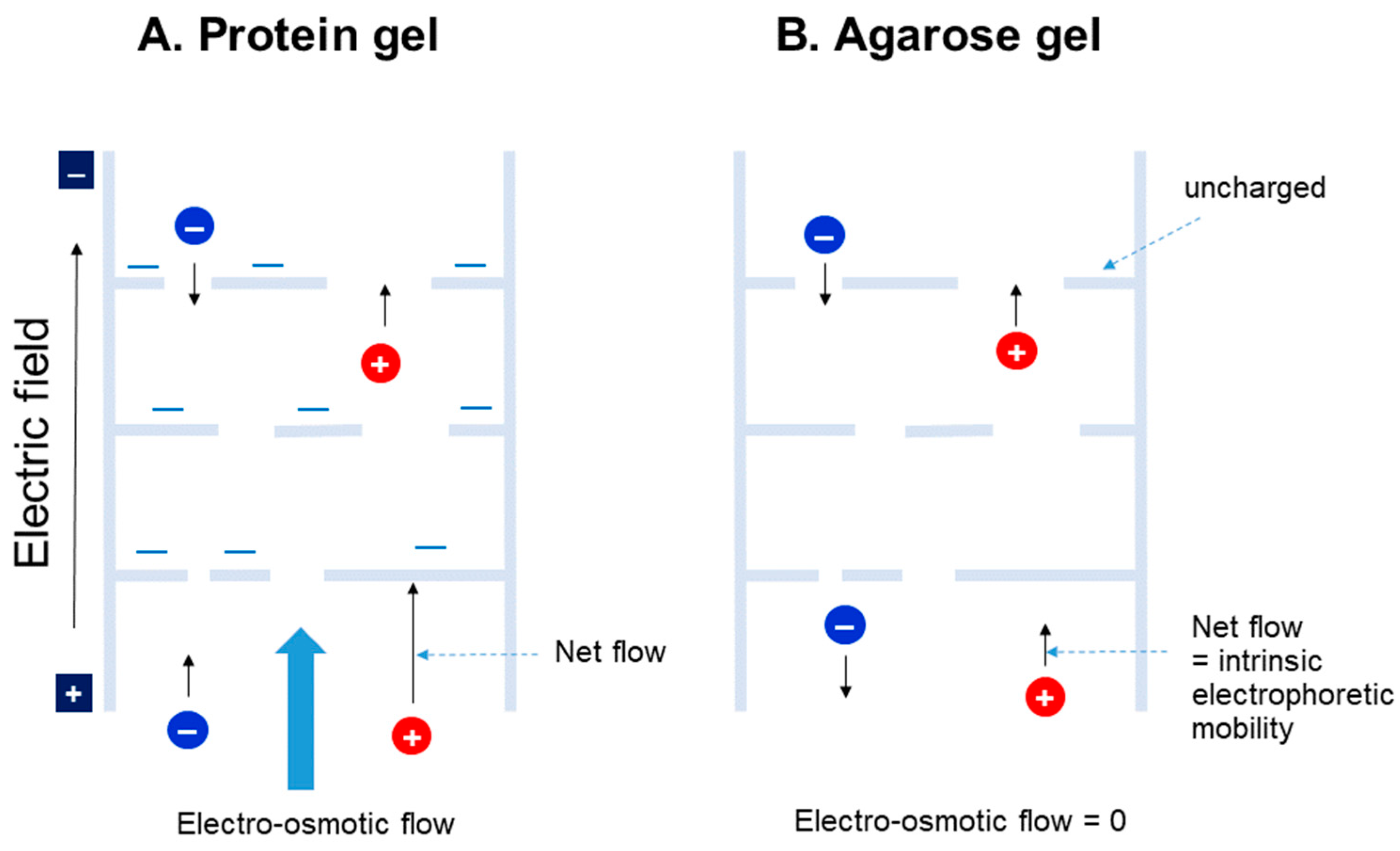Polysaccharides 05 00024 g003 Polysaccharides 05 00024 g003