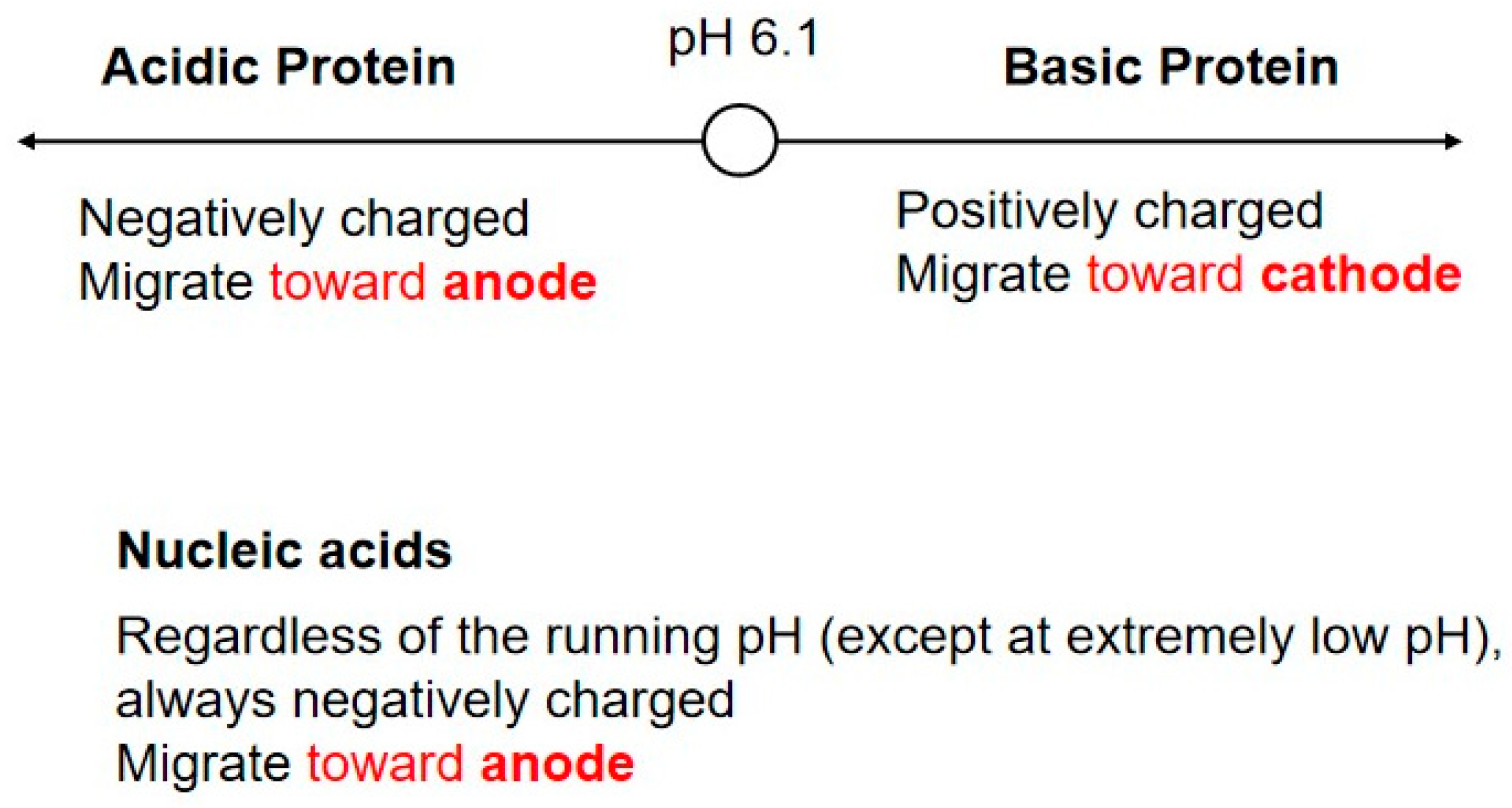 Polysaccharides 05 00024 g004 Polysaccharides 05 00024 g004
