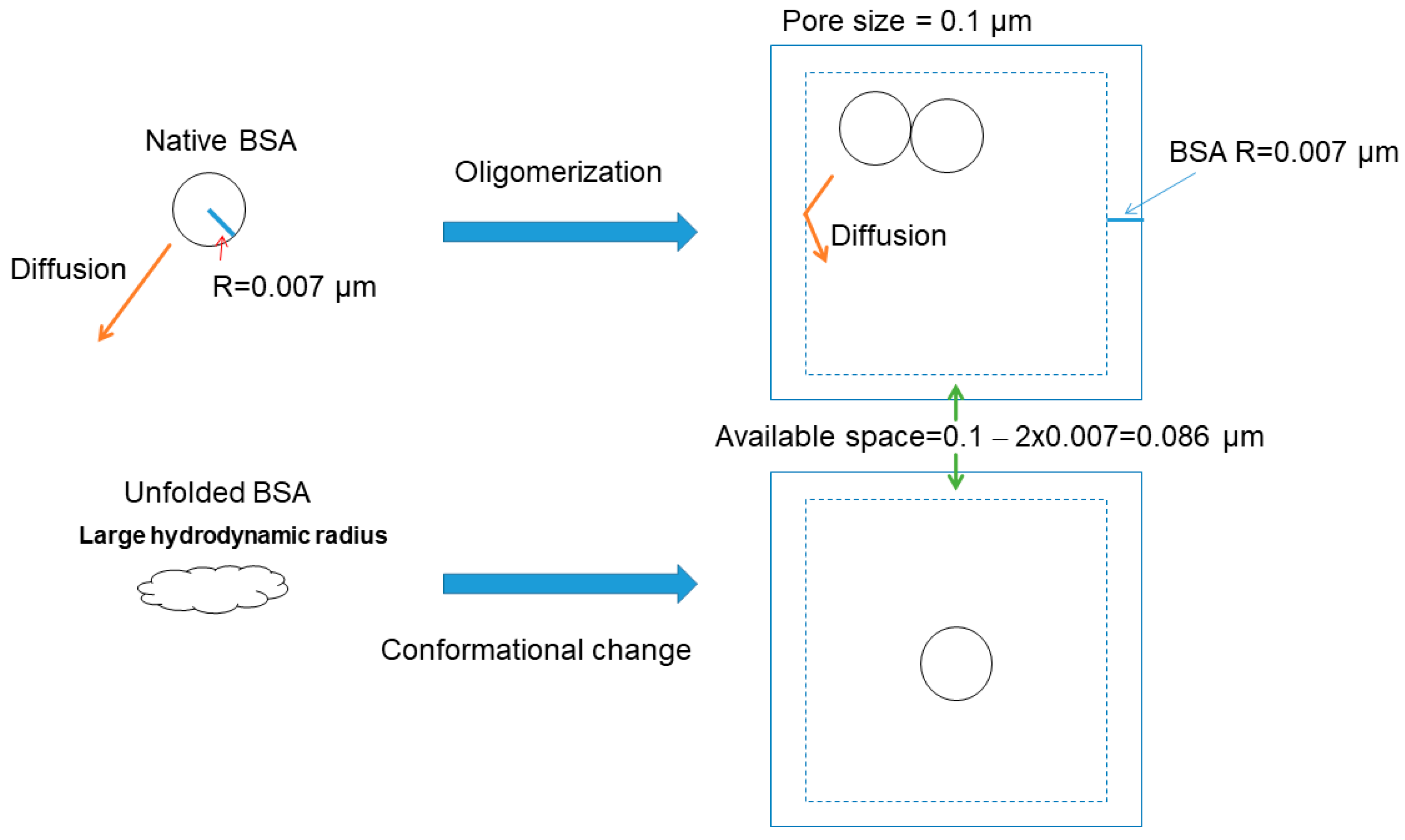 Polysaccharides 05 00024 g005 Polysaccharides 05 00024 g005