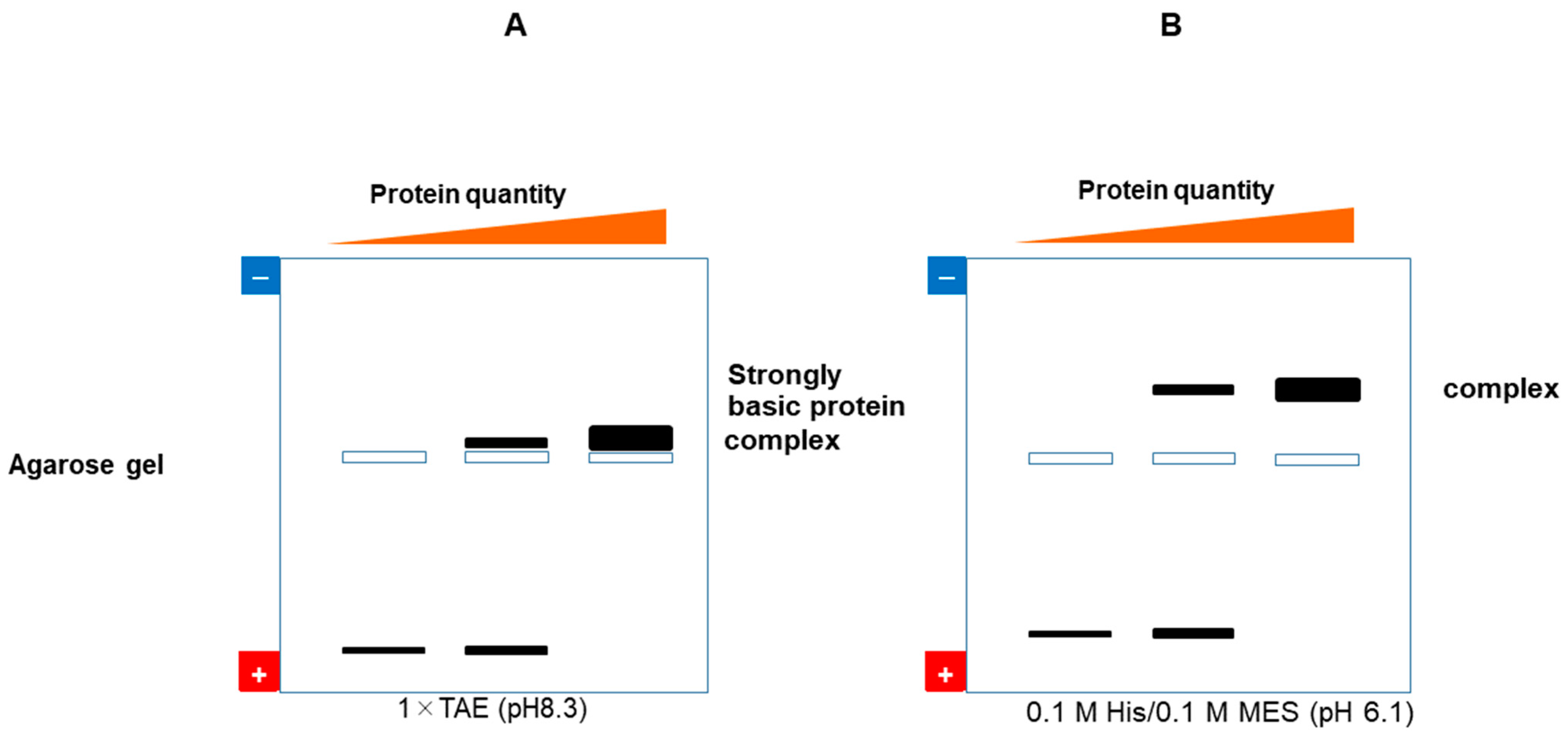 Polysaccharides 05 00024 g008 Polysaccharides 05 00024 g008