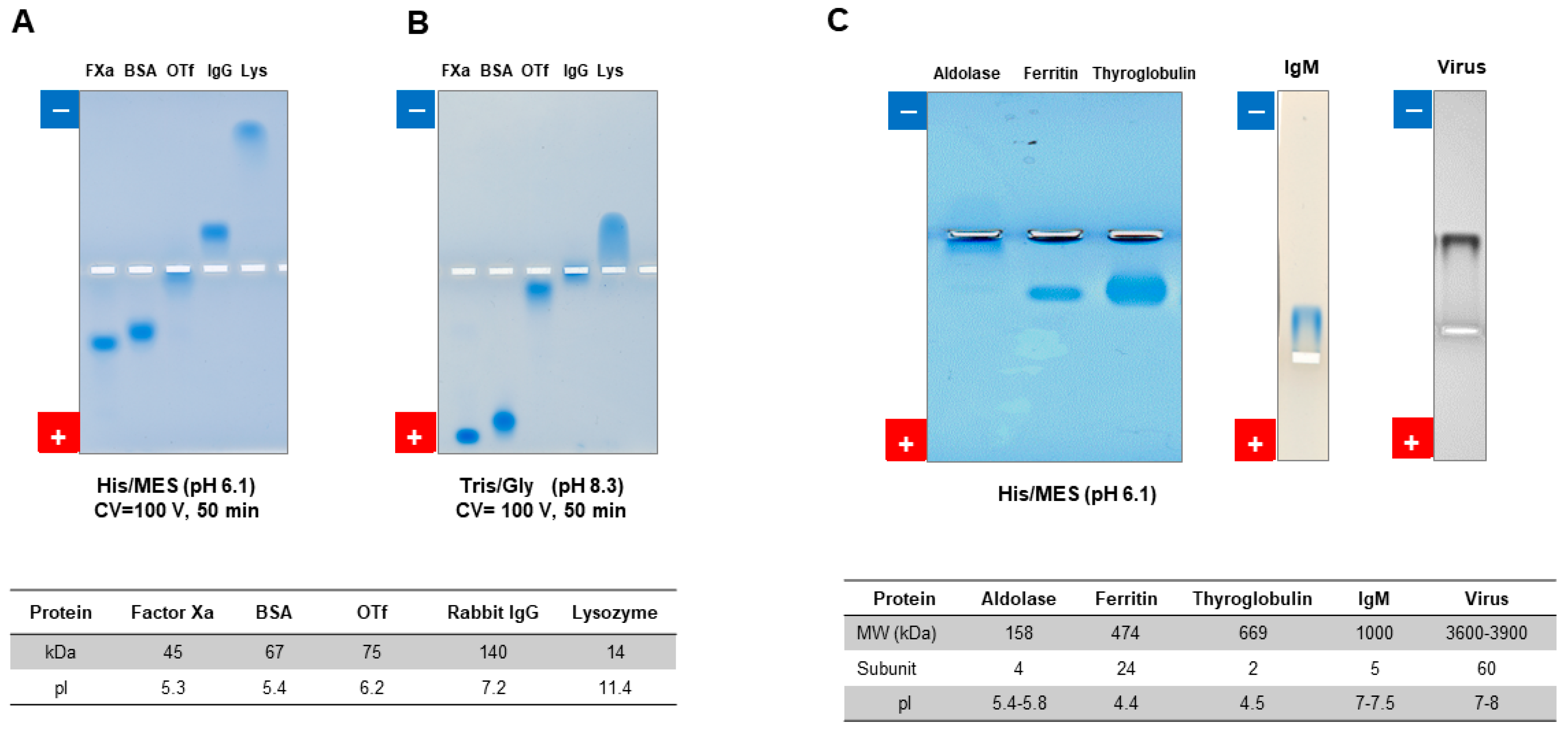 Polysaccharides 05 00024 g010 Polysaccharides 05 00024 g010