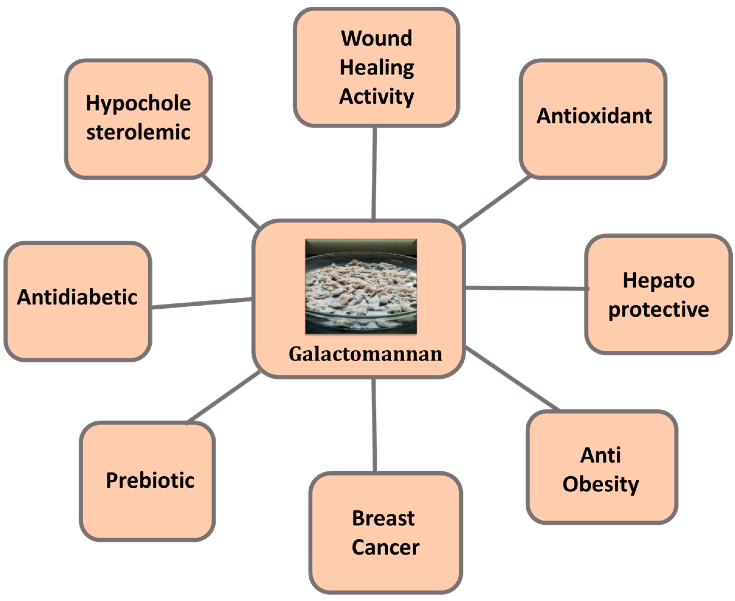 Polysaccharides 05 00030 g003