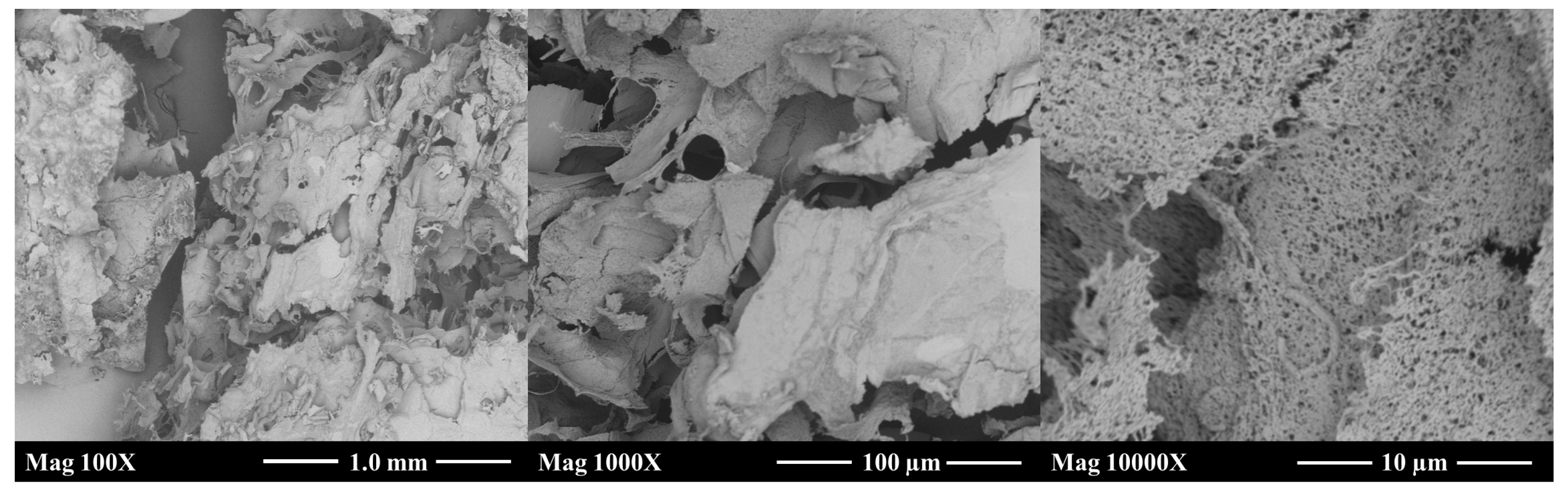 Polysaccharides 05 00031 g005