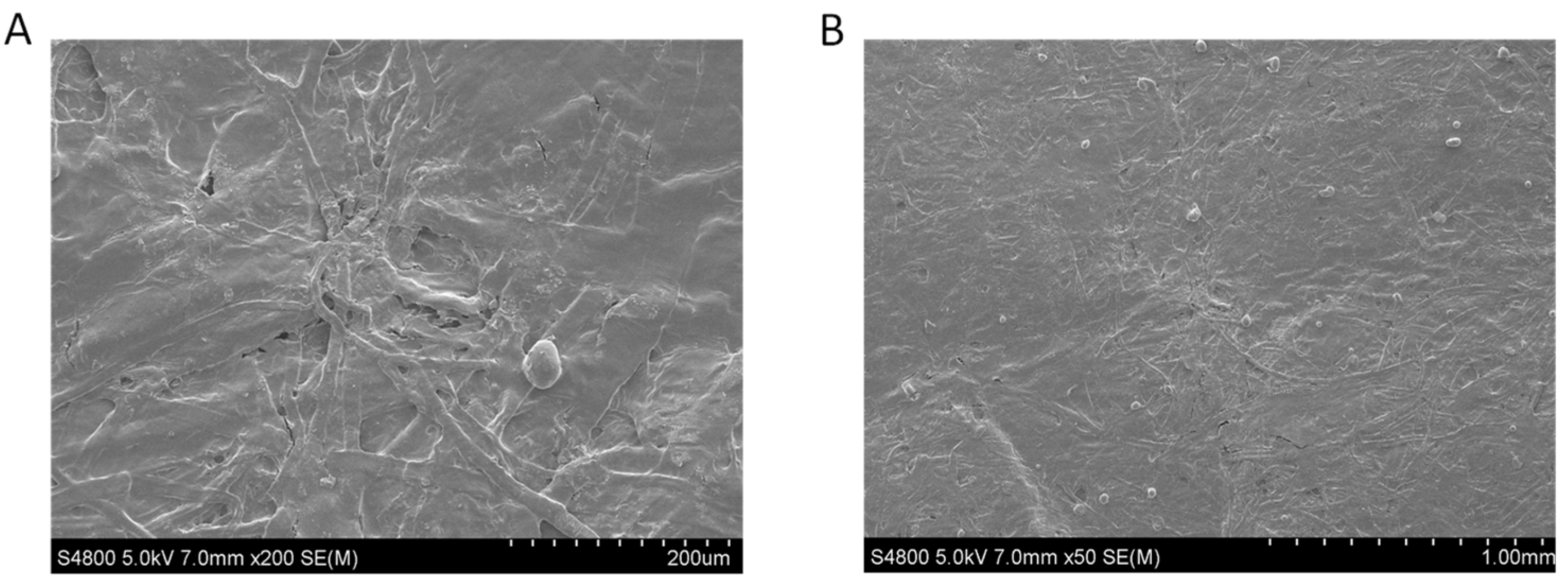 Polysaccharides 05 00042 g009
