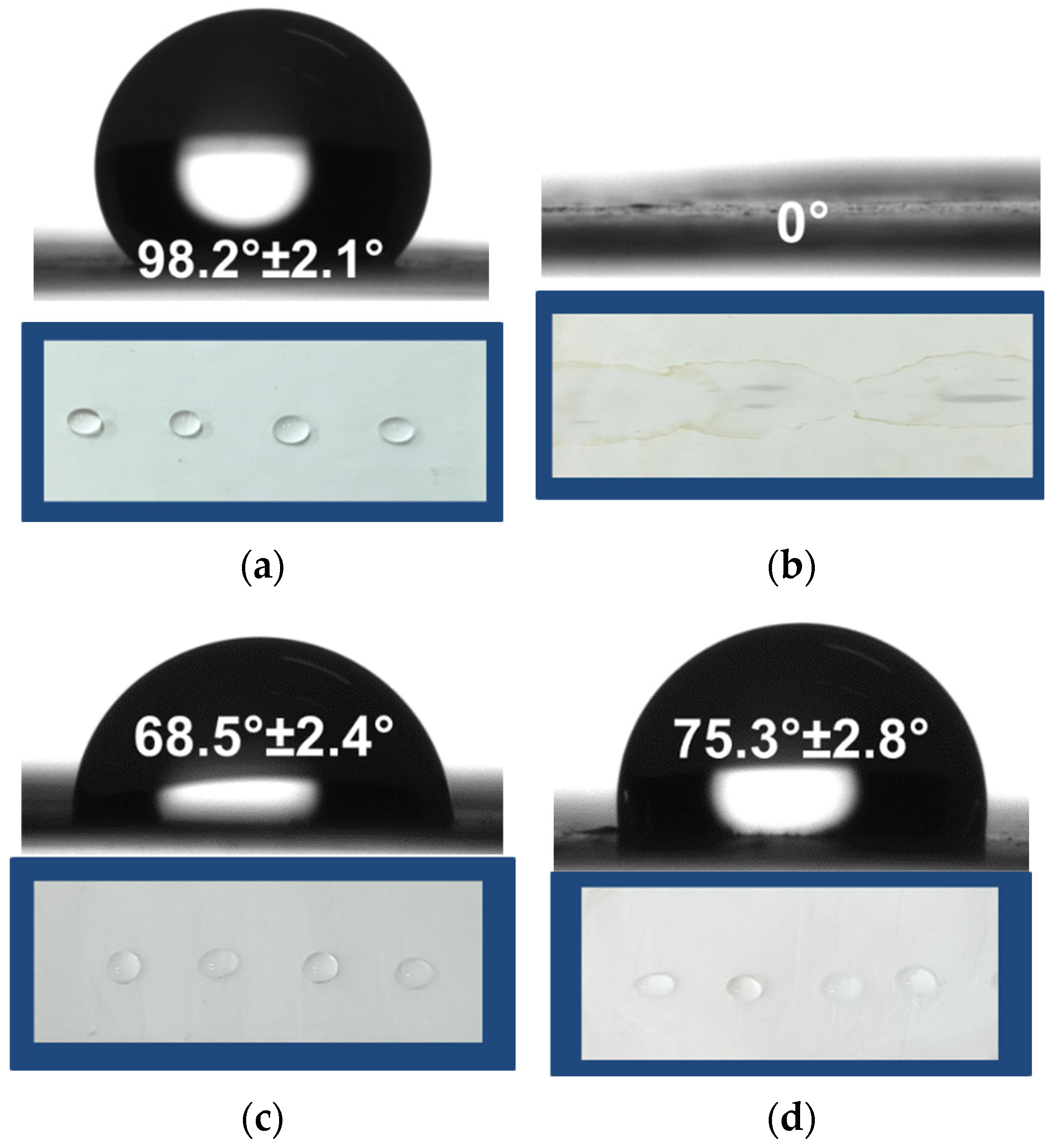 Polysaccharides 05 00044 g003