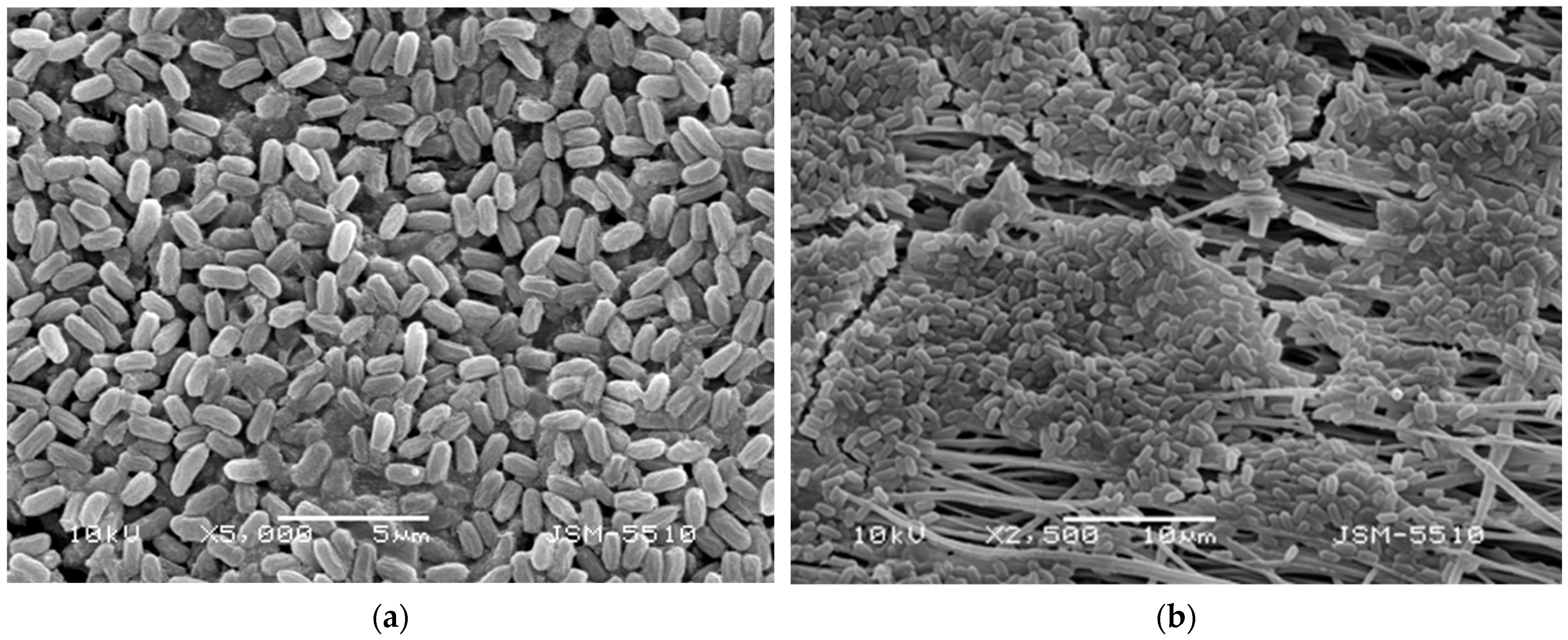 Polysaccharides 05 00044 g006a
