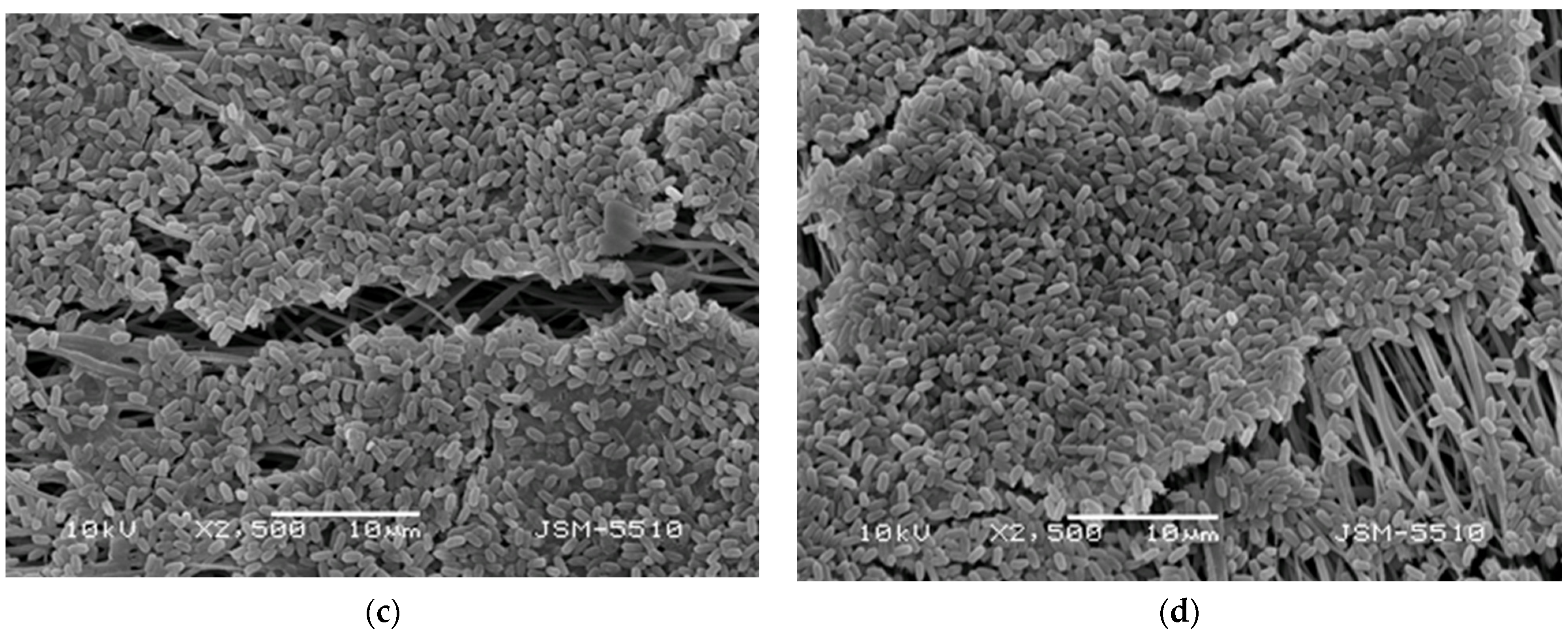 Polysaccharides 05 00044 g006b