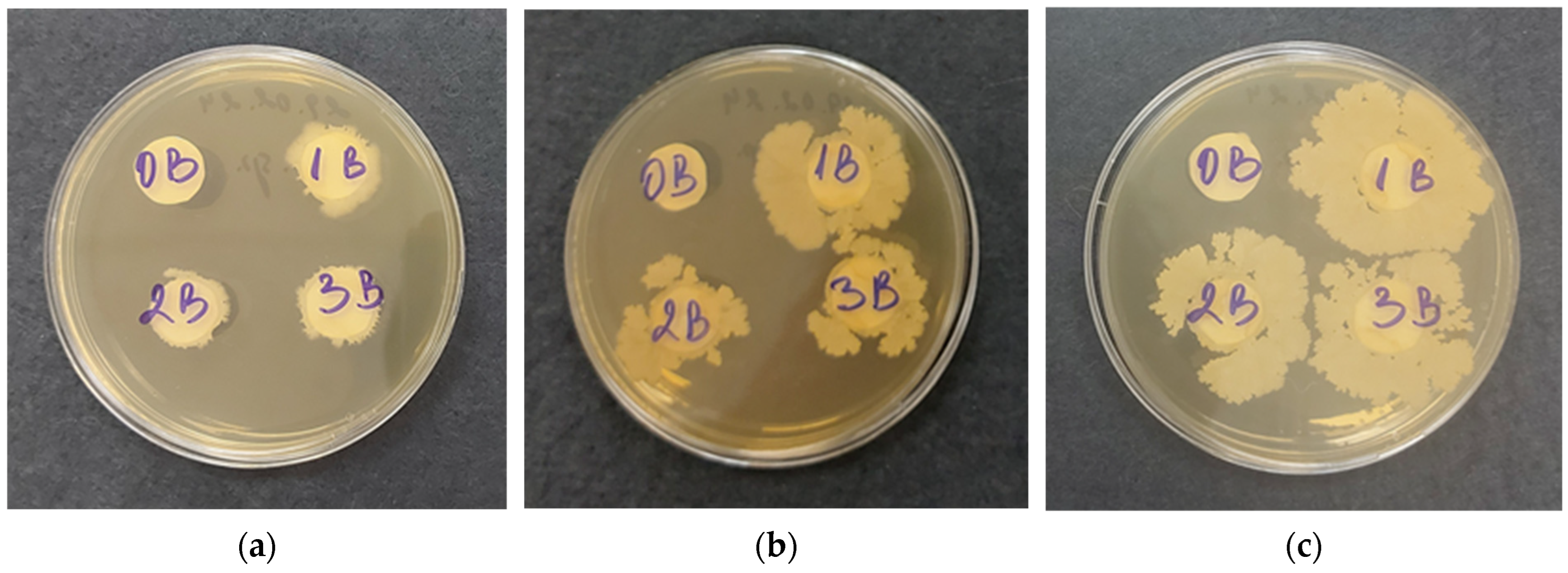 Polysaccharides 05 00044 g007