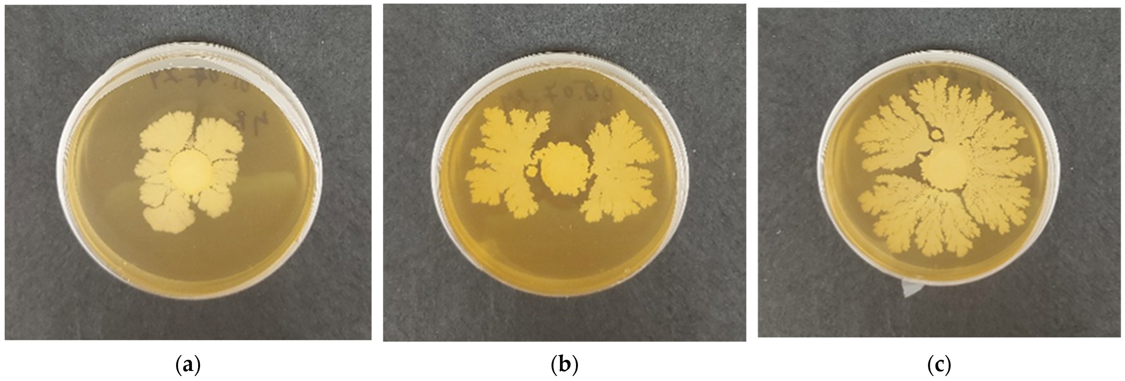 Polysaccharides 05 00044 g008