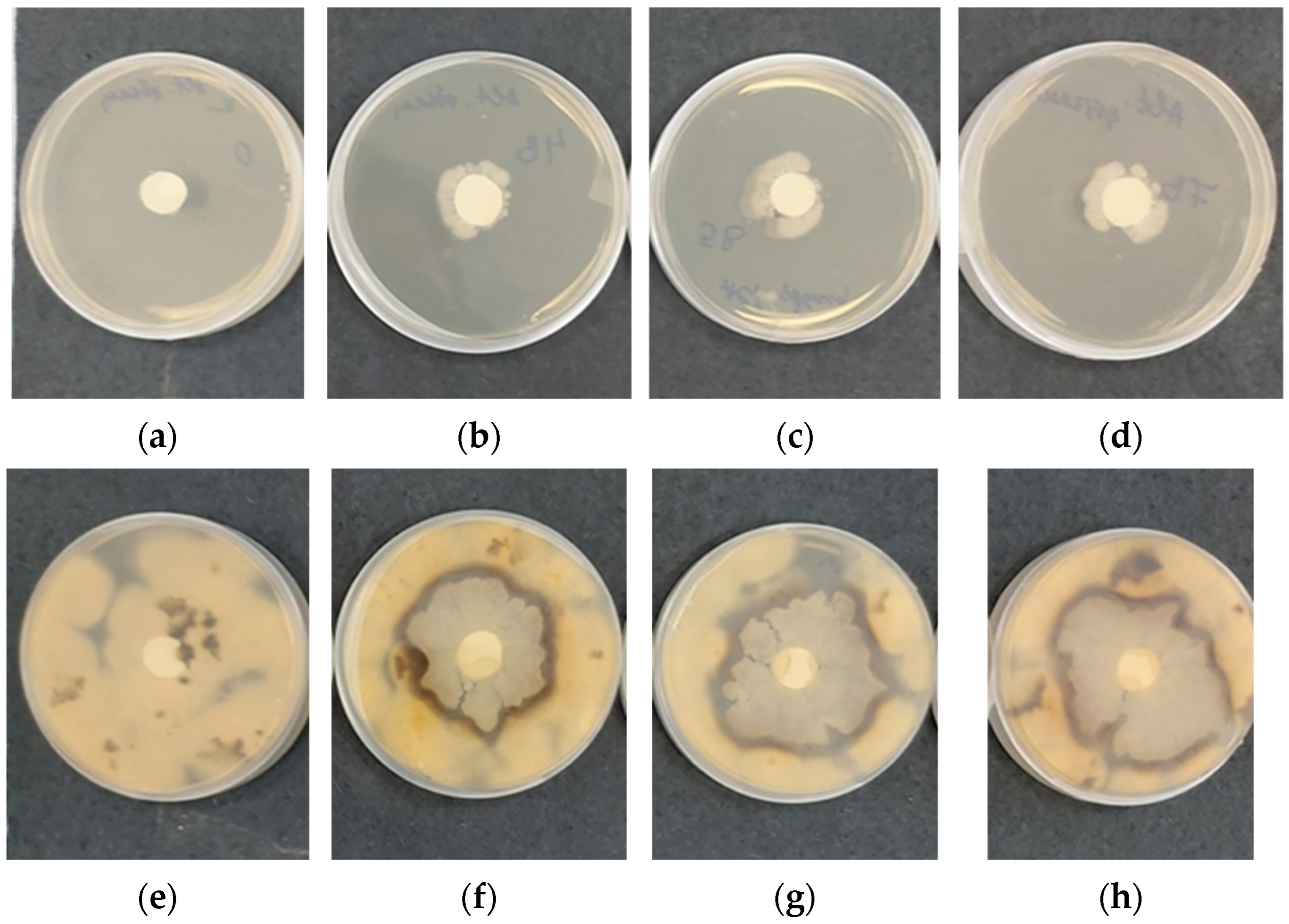 Polysaccharides 05 00044 g009