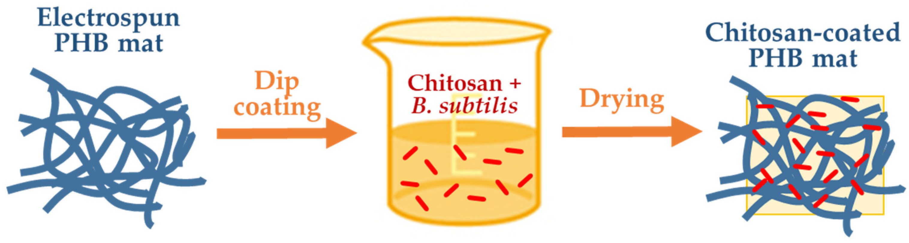 Polysaccharides 05 00044 sch002
