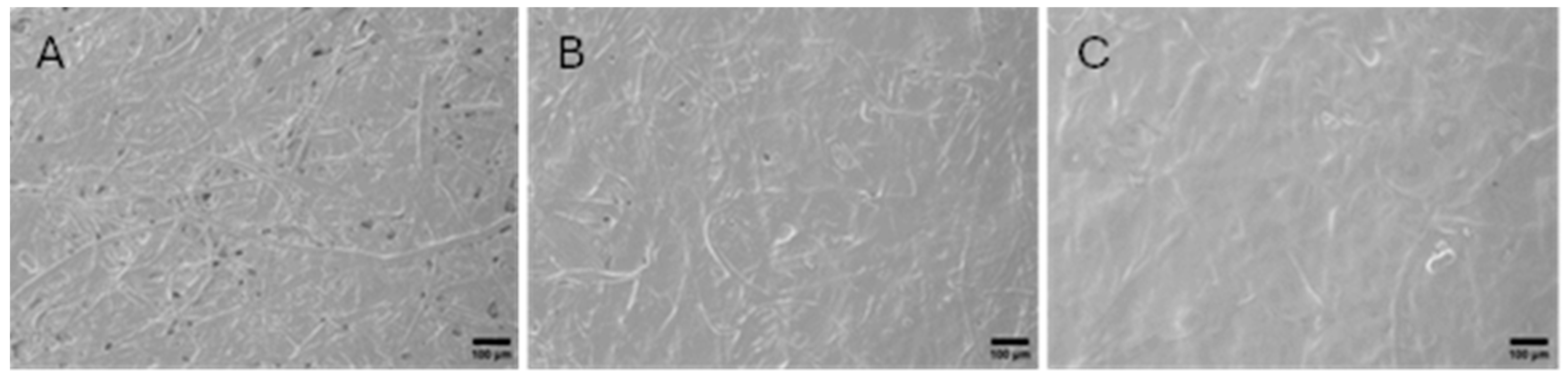 Polysaccharides 05 00049 g005