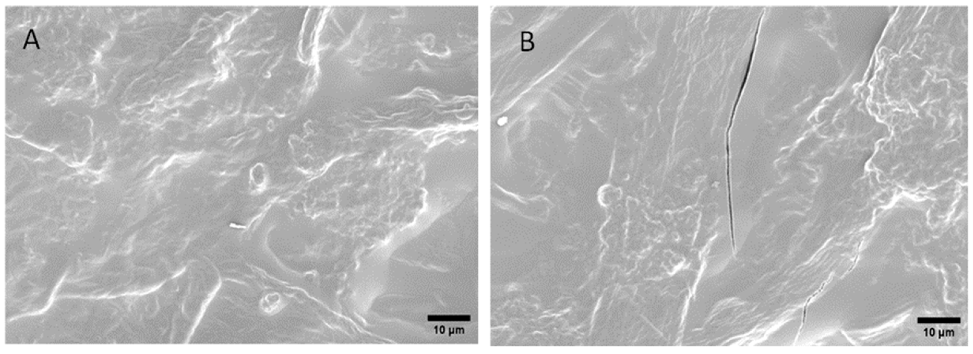 Polysaccharides 05 00049 g012