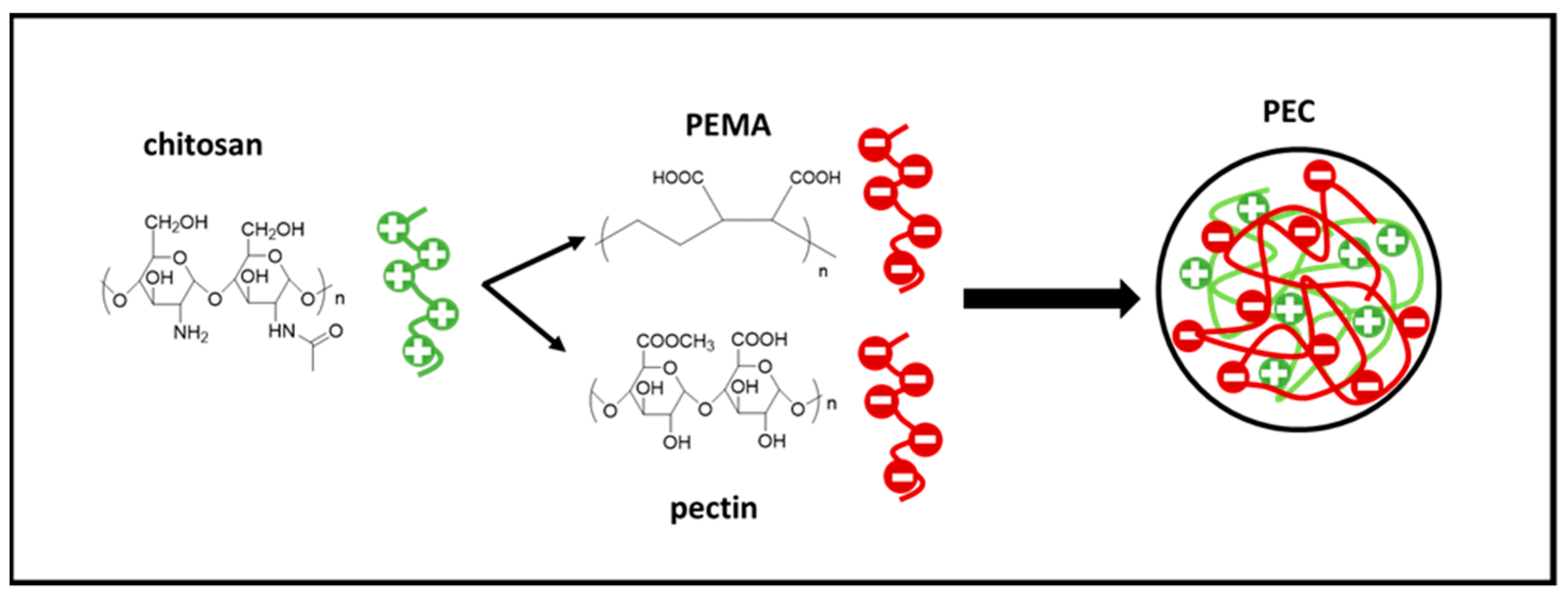 Polysaccharides 05 00052 g001