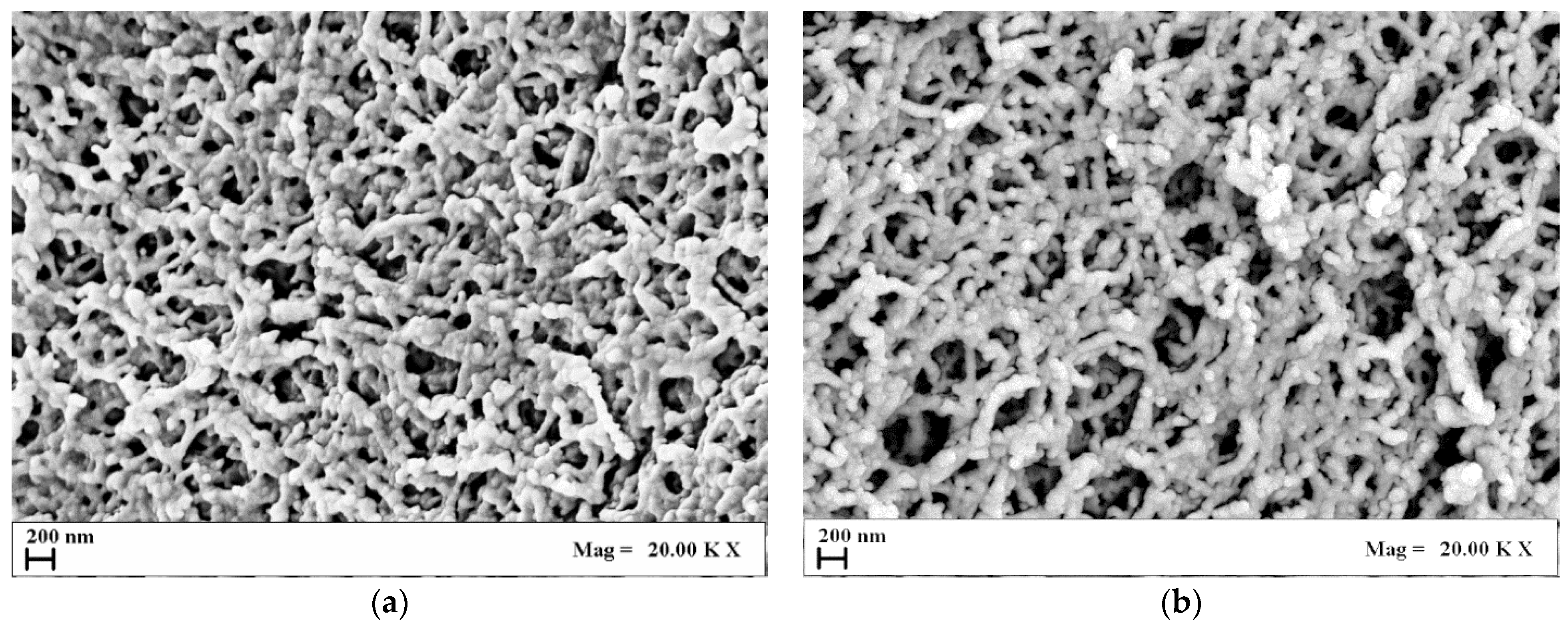 Polysaccharides 06 00001 g001