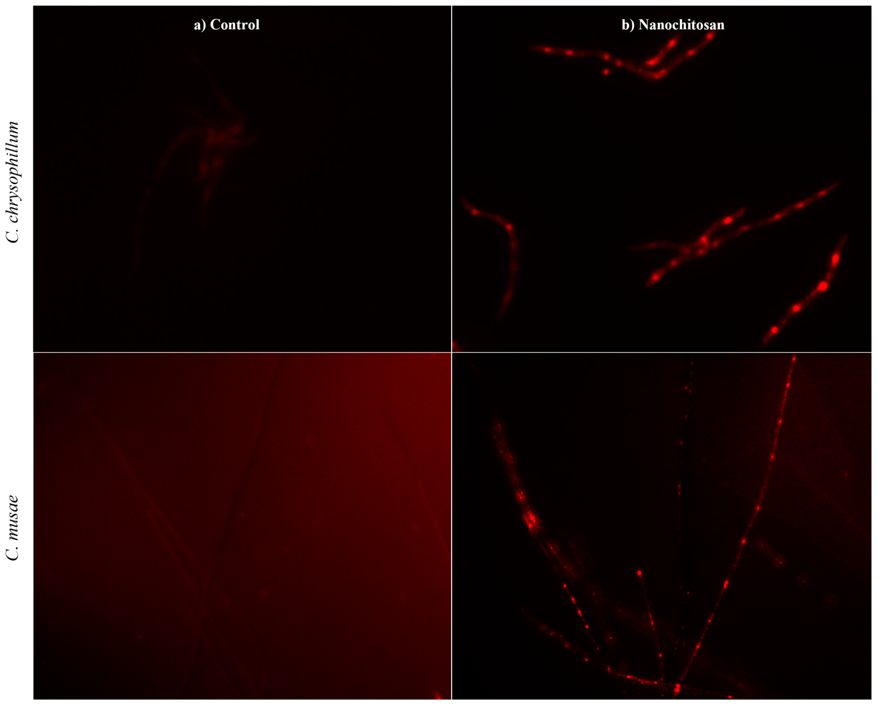Polysaccharides 06 00004 g007