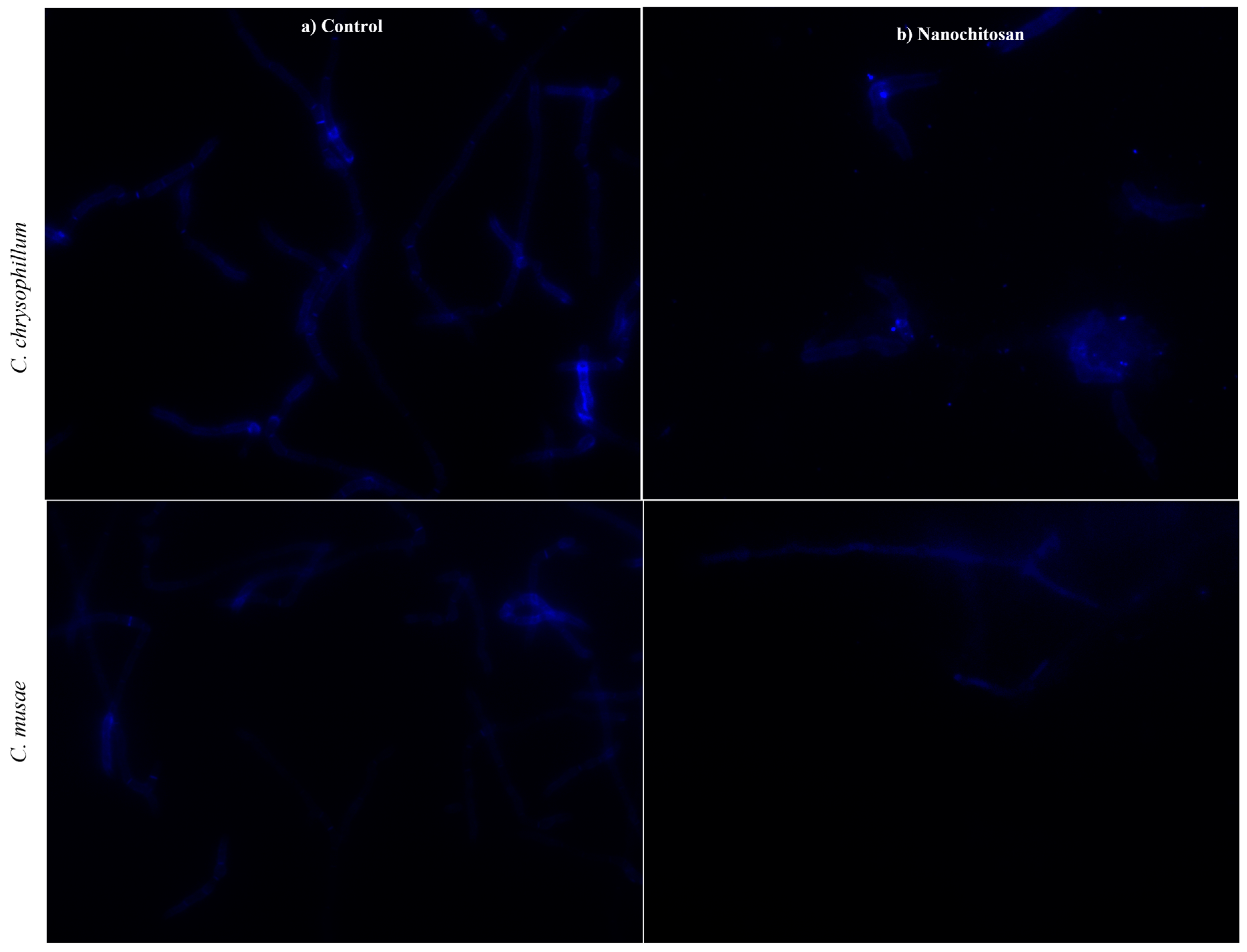 Polysaccharides 06 00004 g008