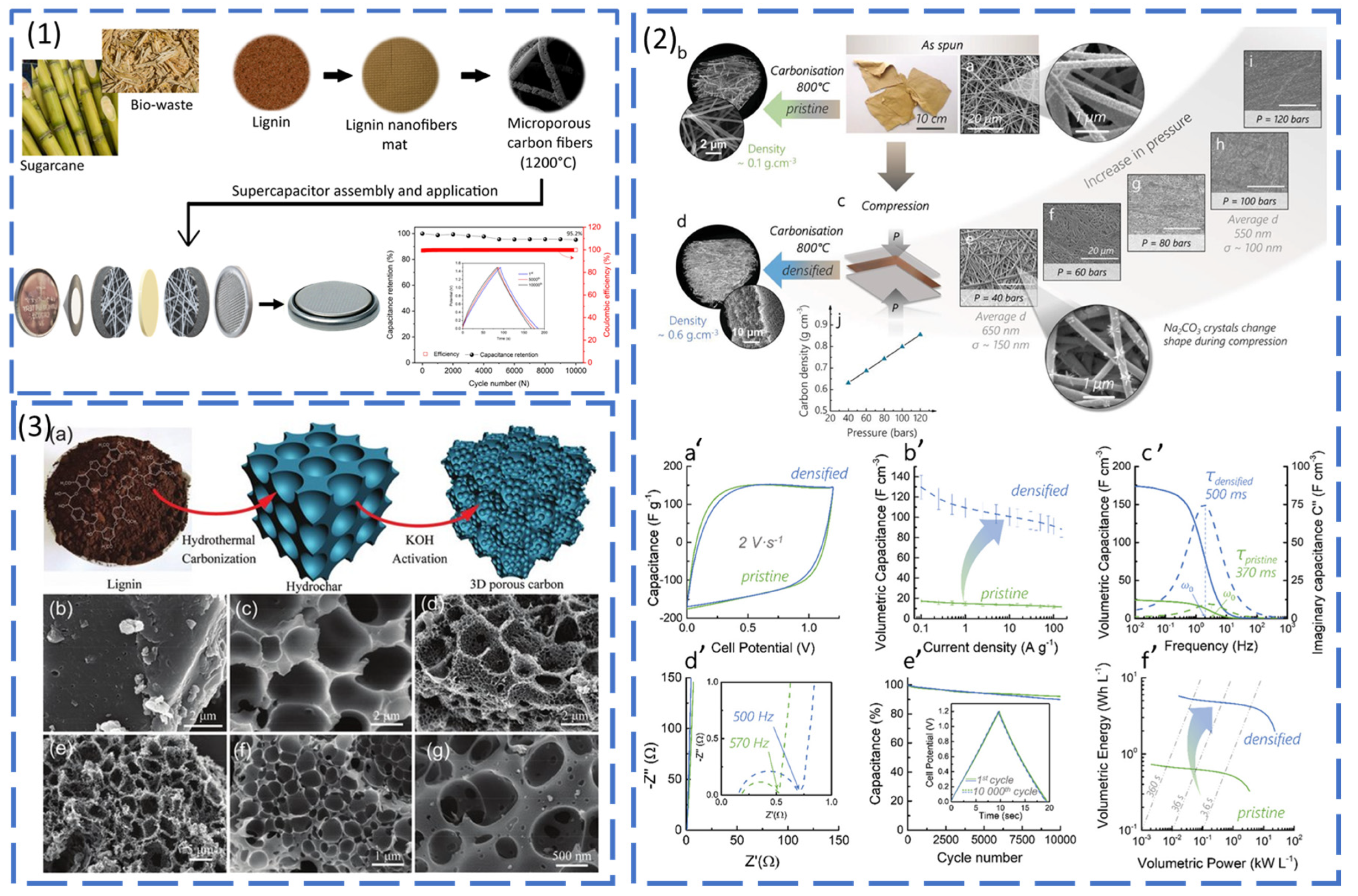 Polysaccharides 06 00005 g002