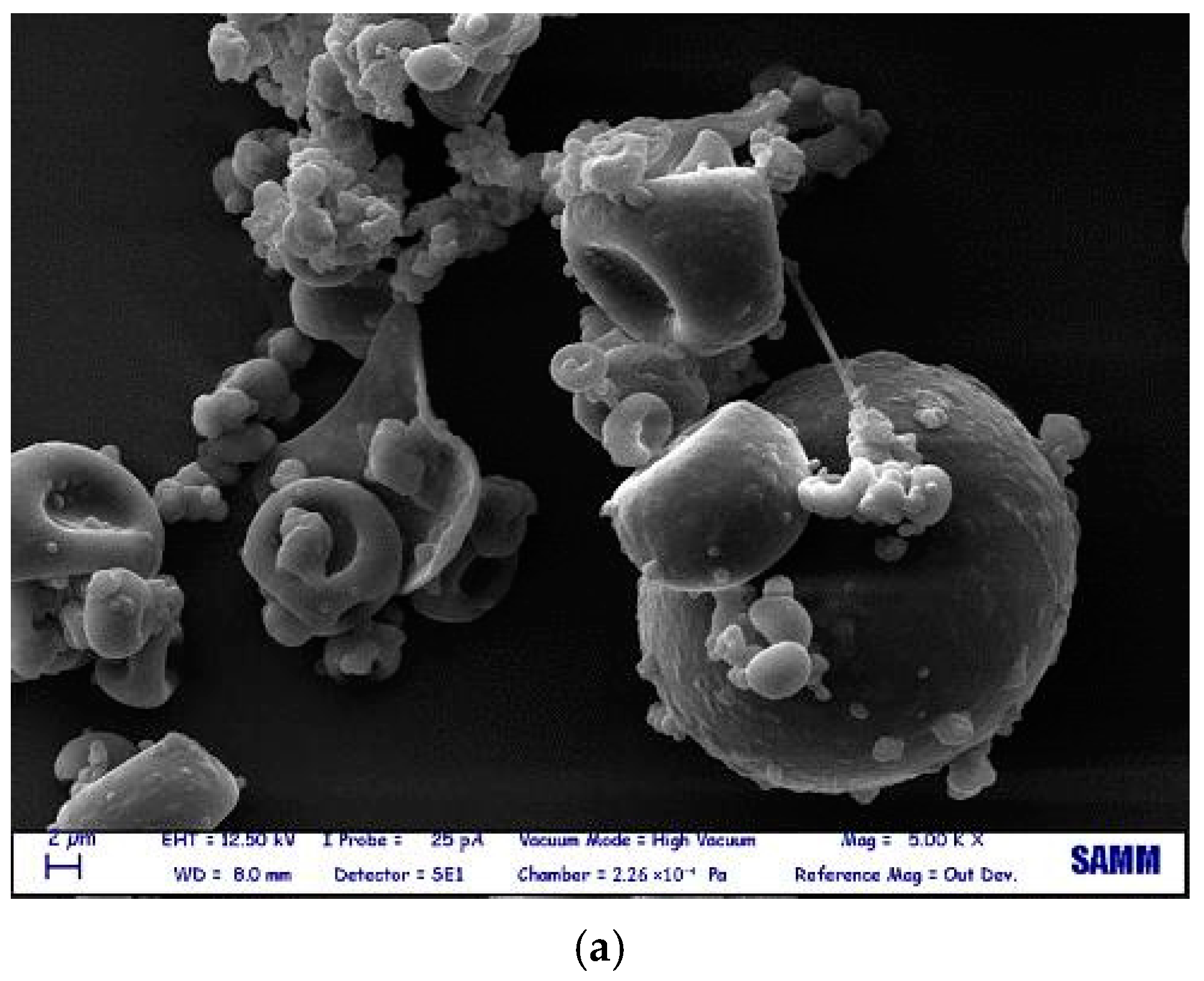 Polysaccharides 06 00007 g005a