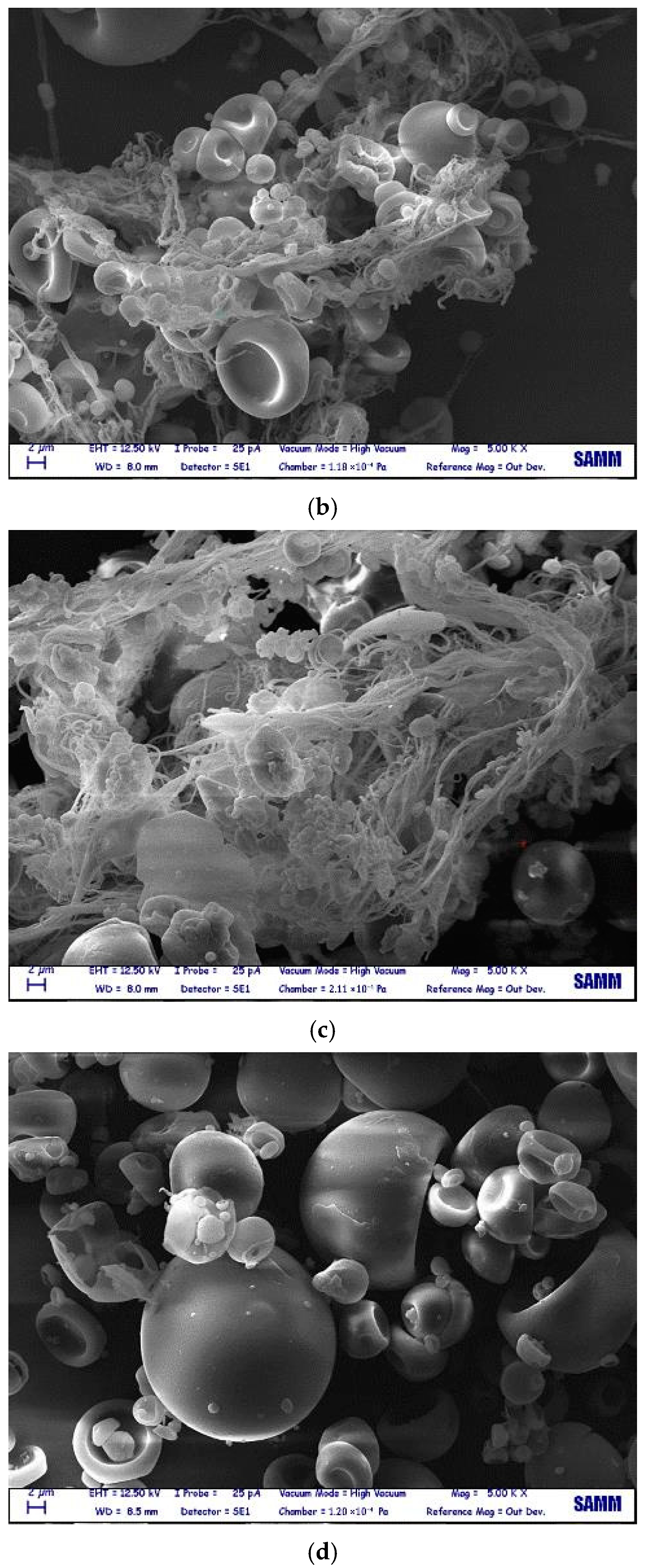 Polysaccharides 06 00007 g005b