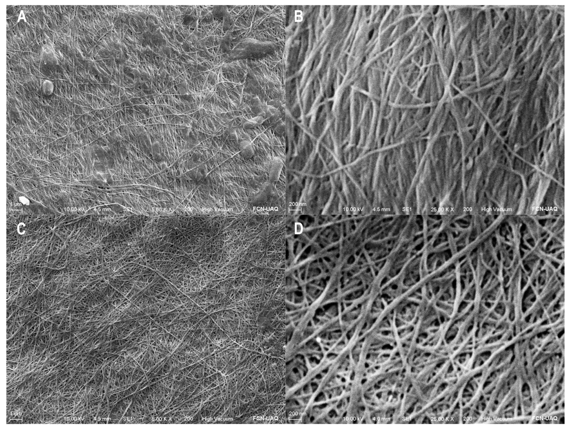 Polysaccharides 06 00008 g002