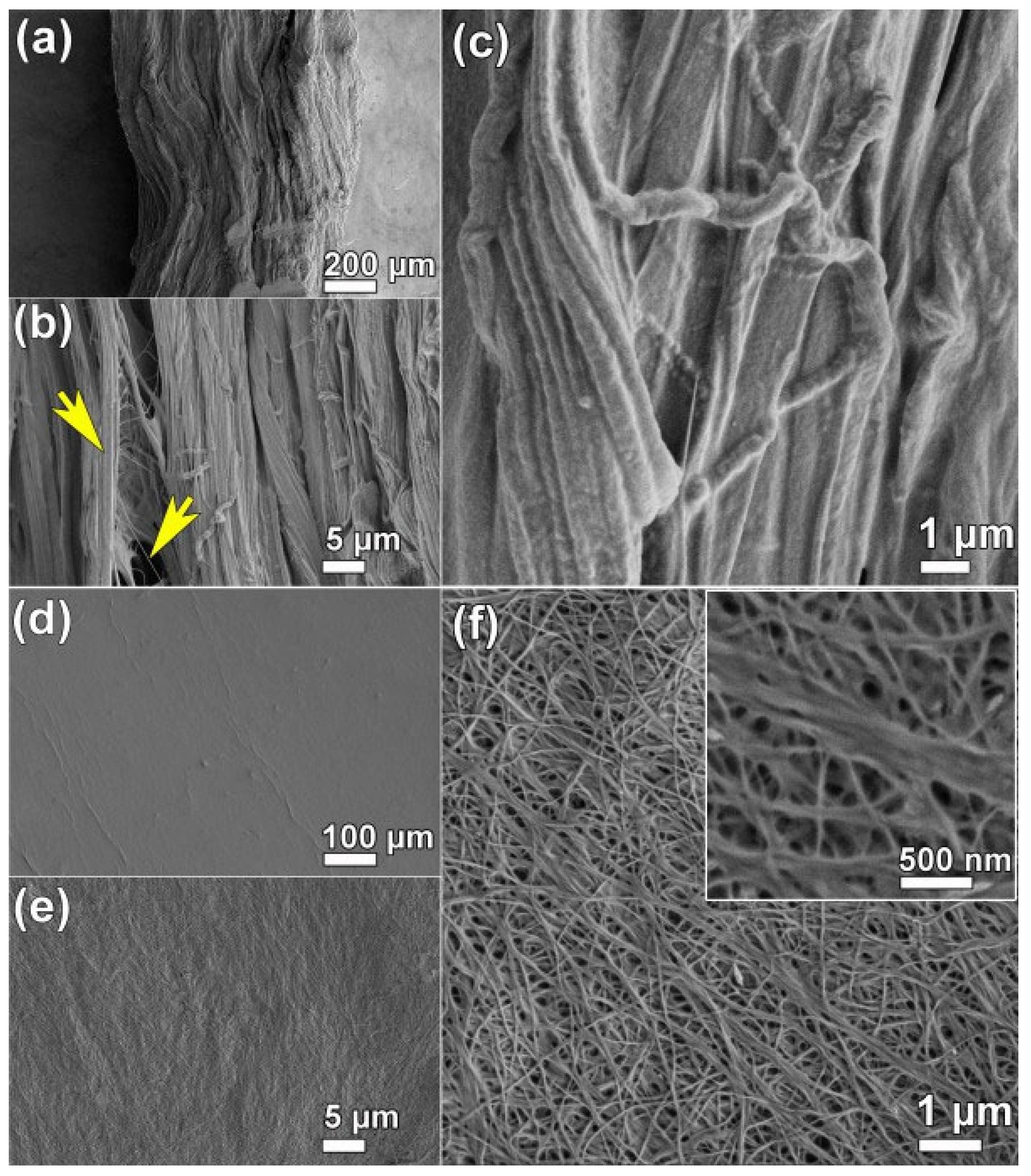 Polysaccharides 06 00010 g003