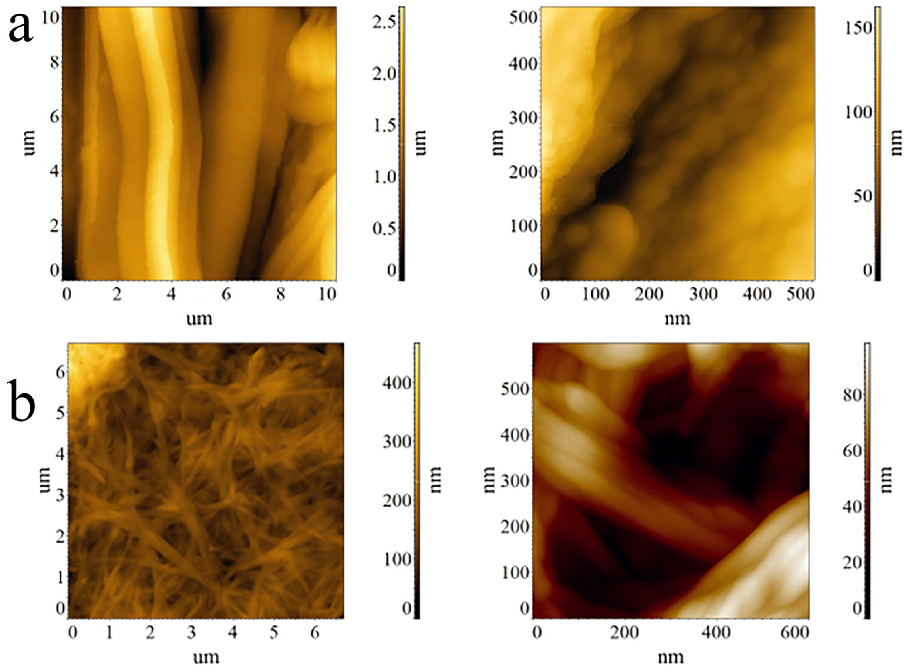 Polysaccharides 06 00010 g006