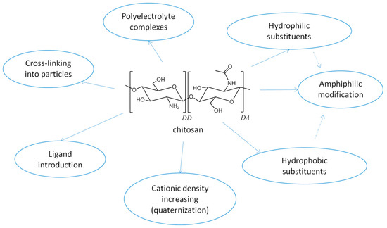 didi Hydrophobic Chitosan Derivatives for Gene and Drug Delivery
