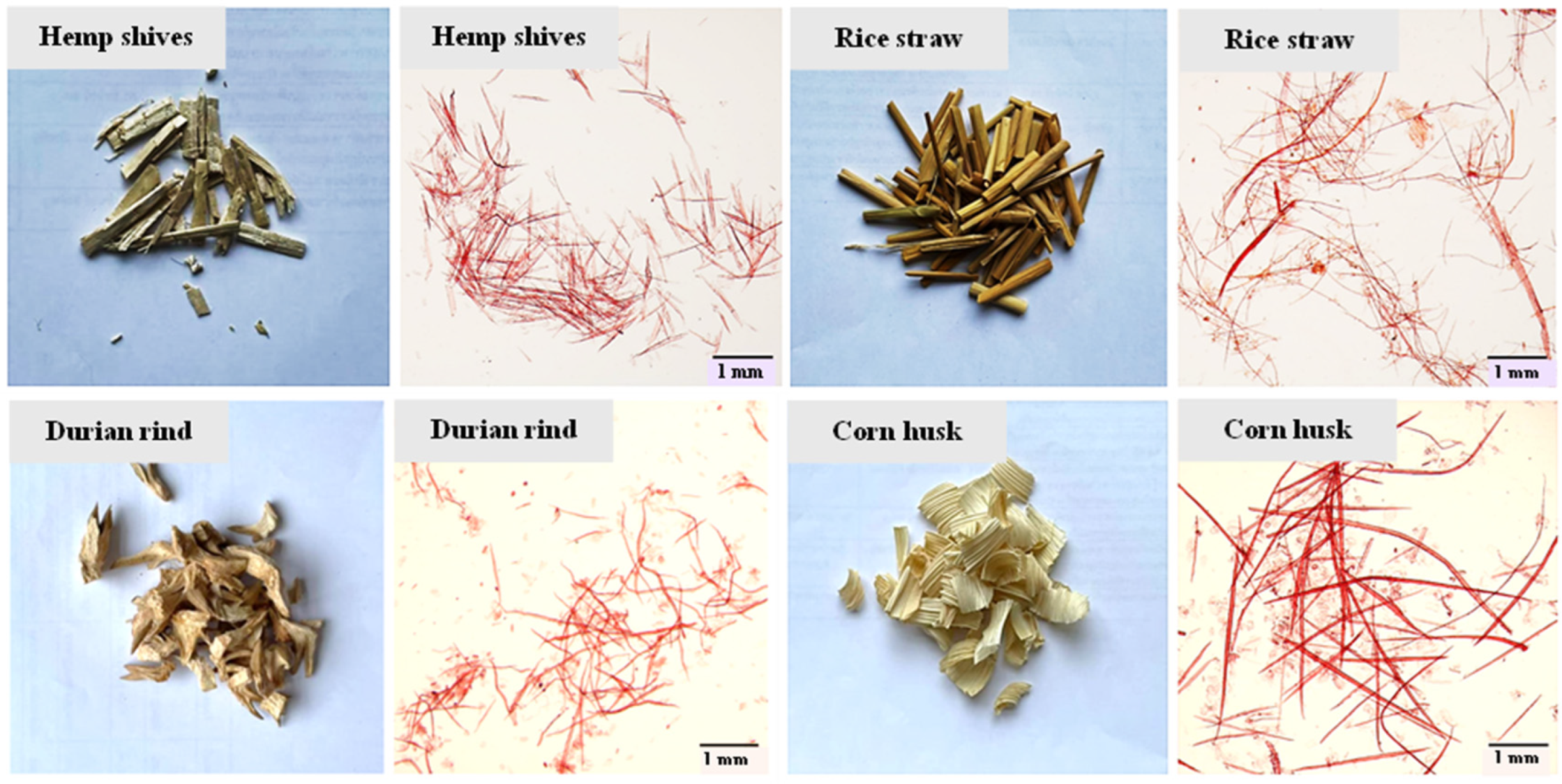 Polysaccharides 06 00012 g001