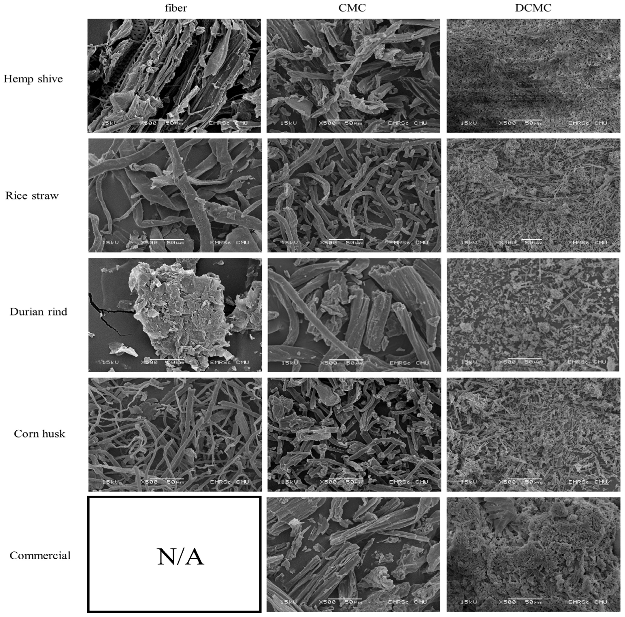 Polysaccharides 06 00012 g005