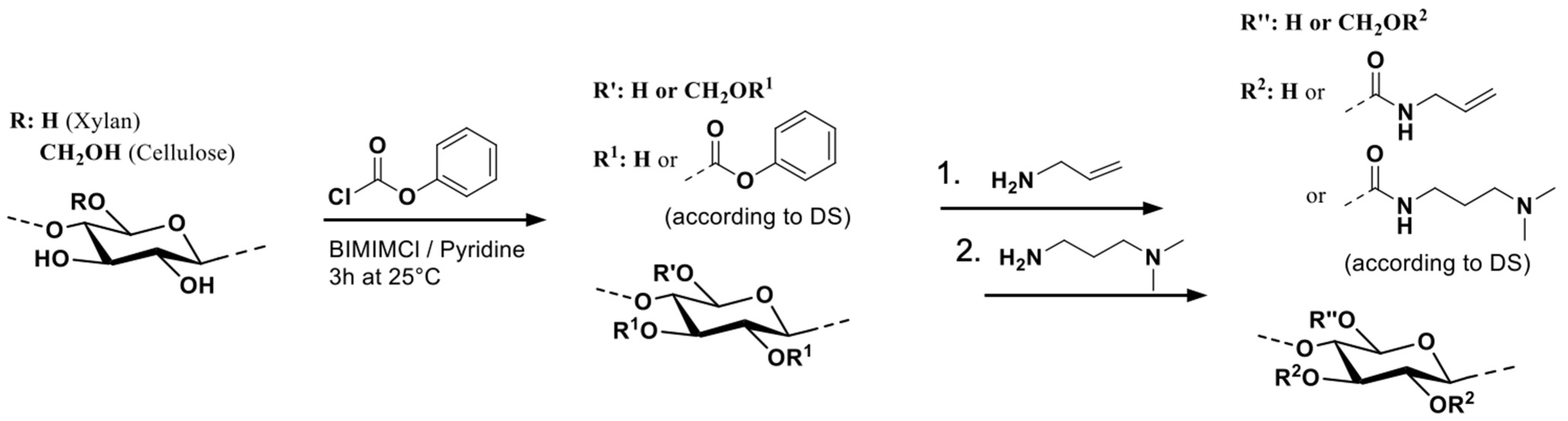 Polysaccharides 06 00013 g001