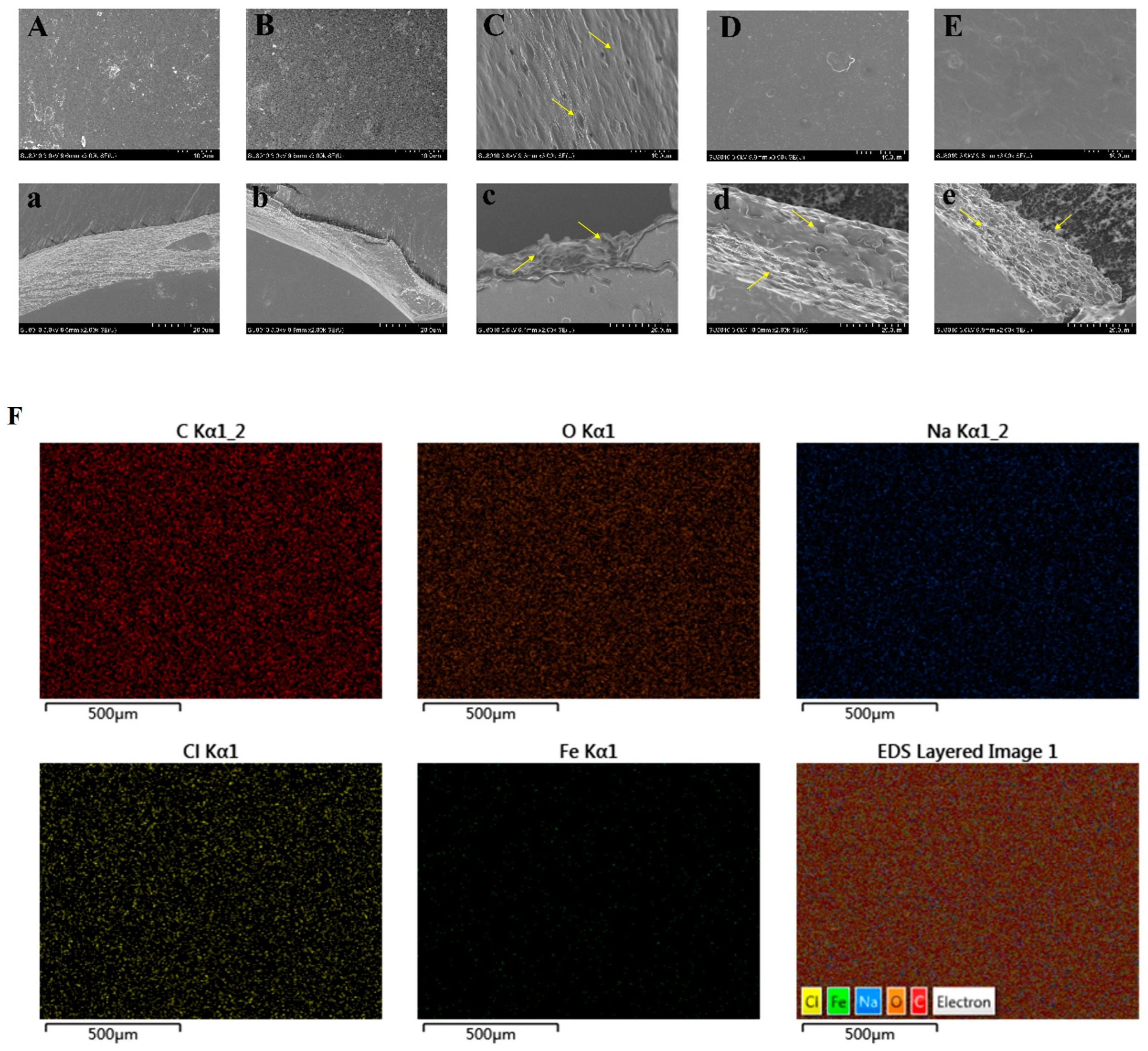Polysaccharides 06 00015 g002