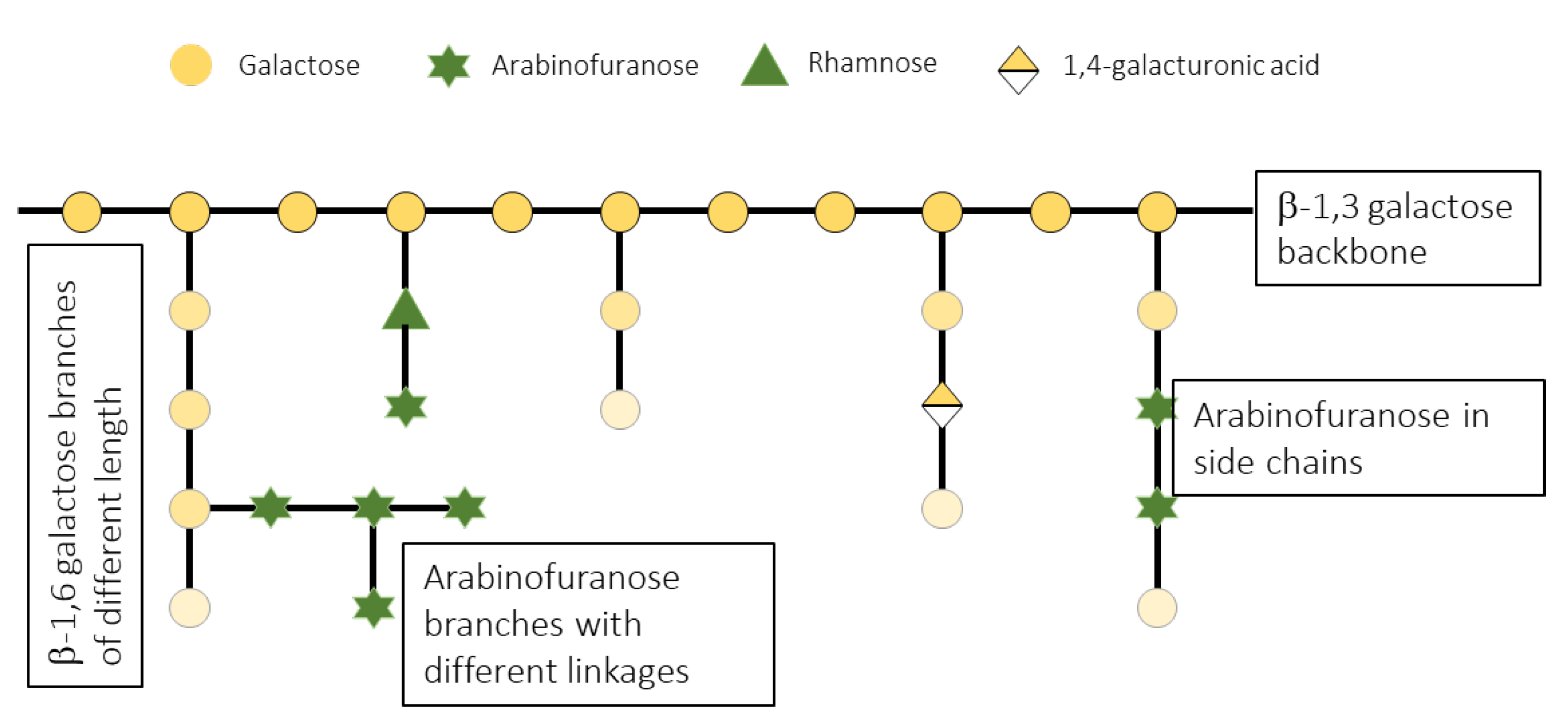 Polysaccharides 06 00018 g003