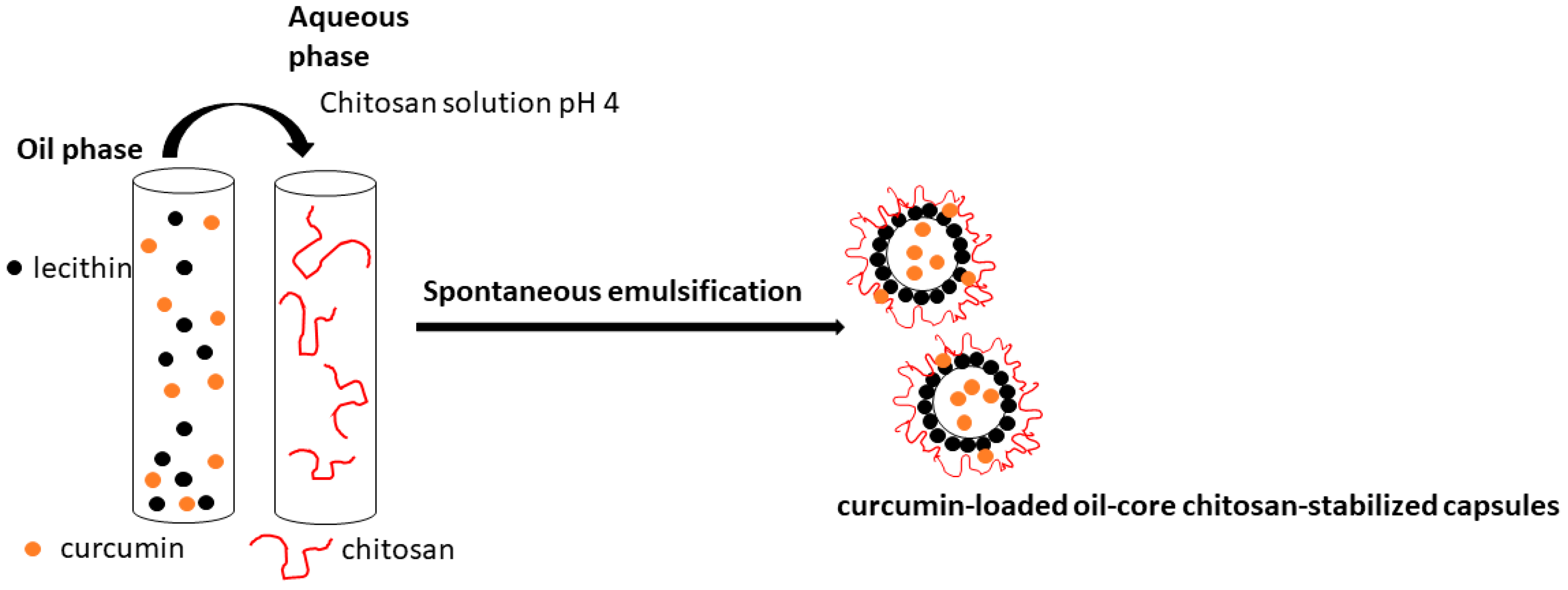 Polysaccharides 06 00022 g001
