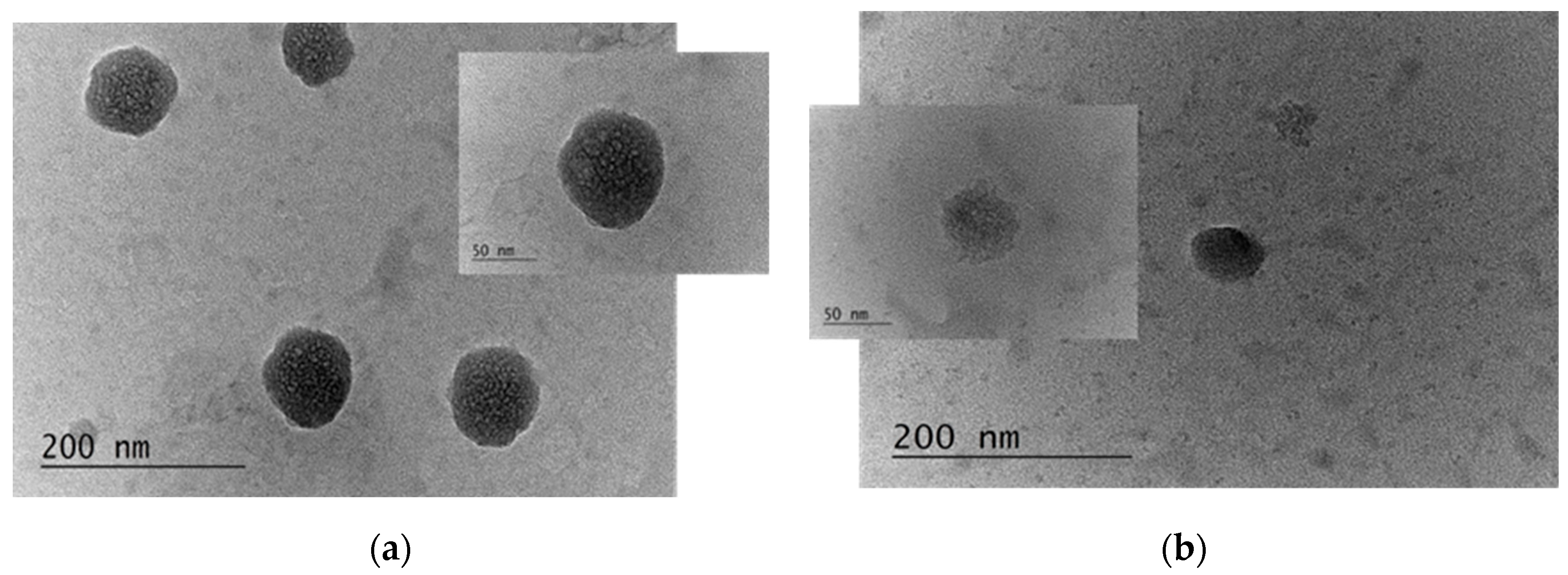Polysaccharides 06 00022 g002