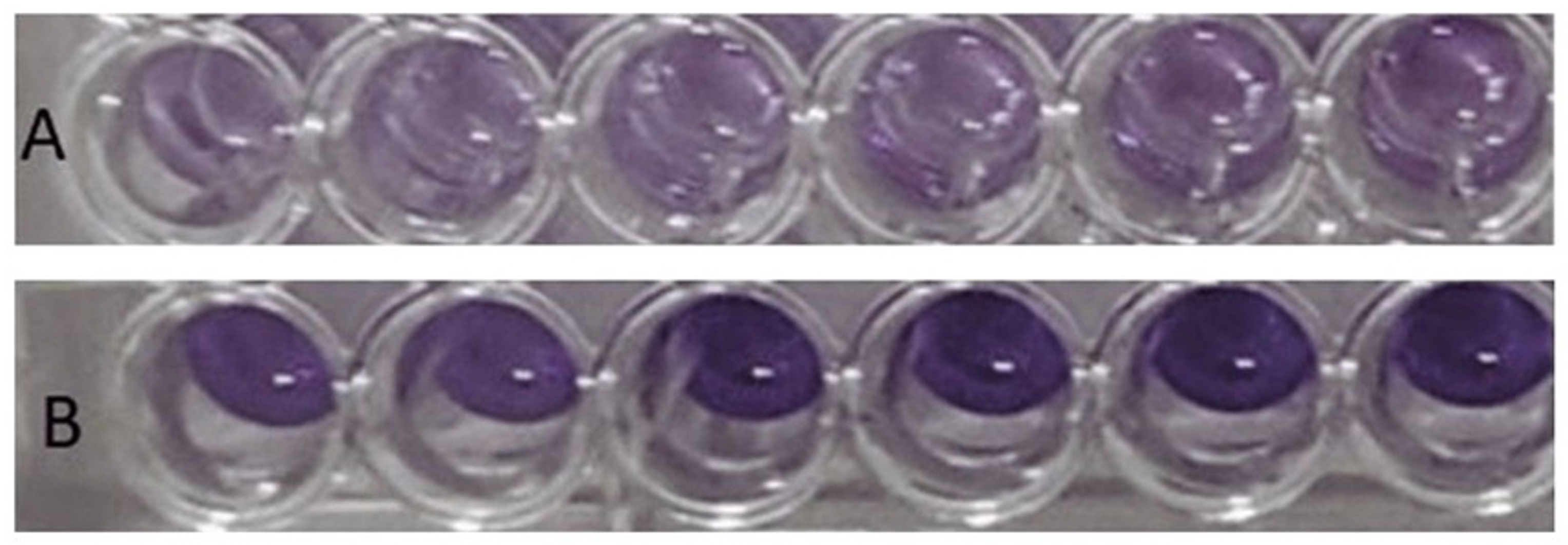 Polysaccharides 06 00024 g003