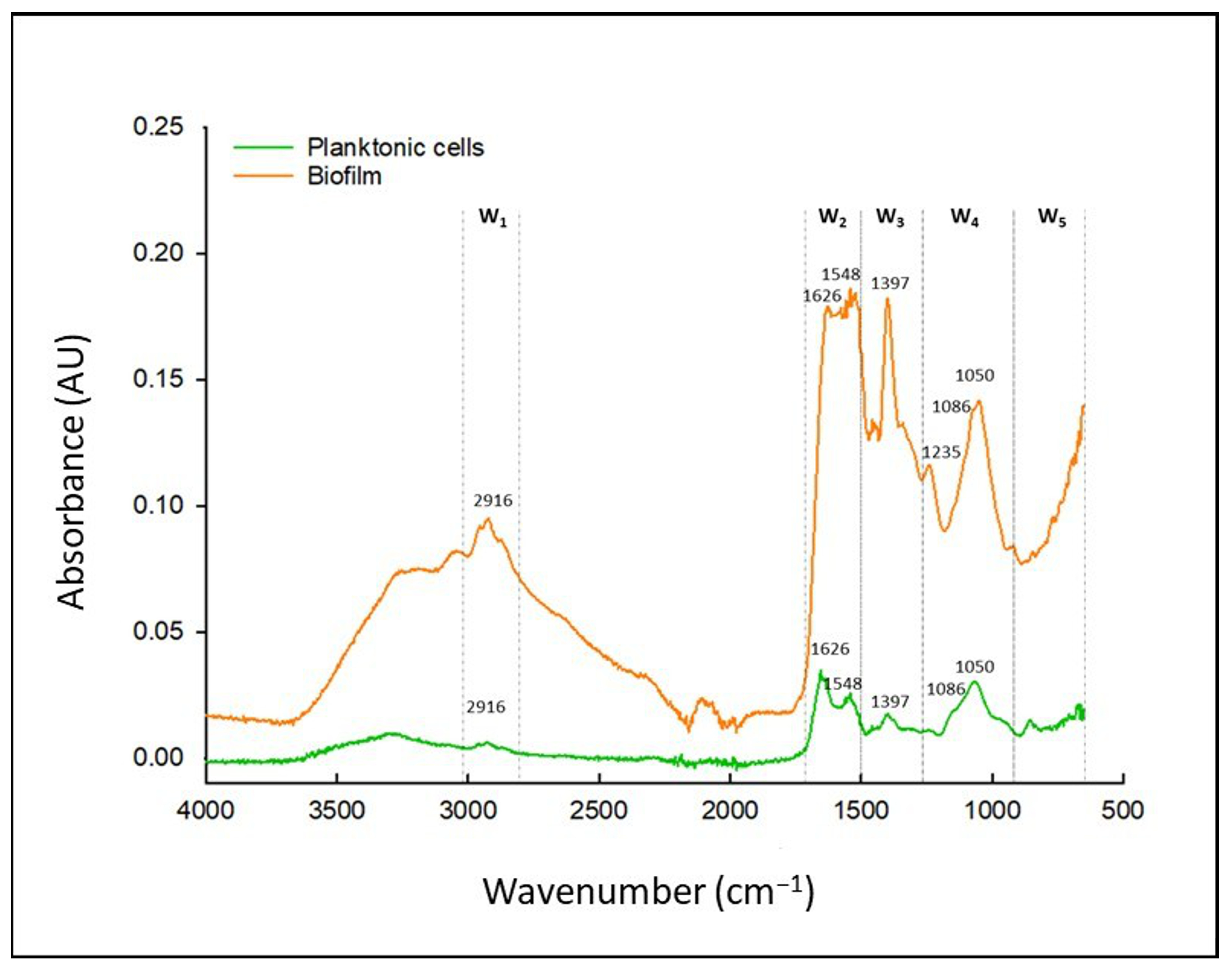 Polysaccharides 06 00024 g004
