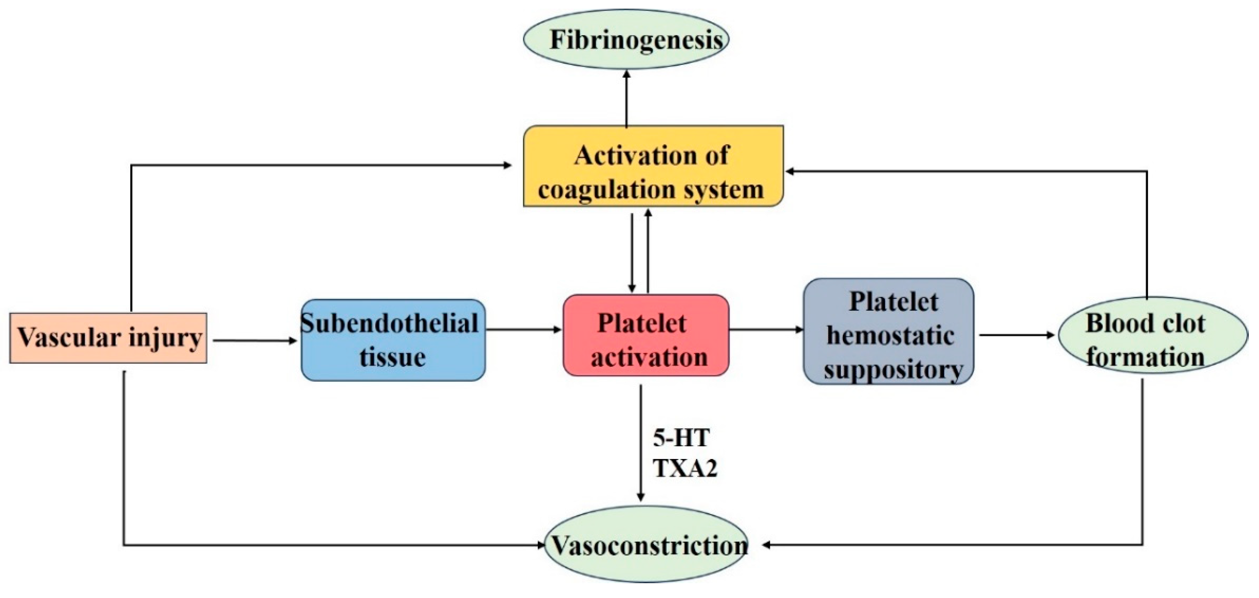 Polysaccharides 06 00025 g003
