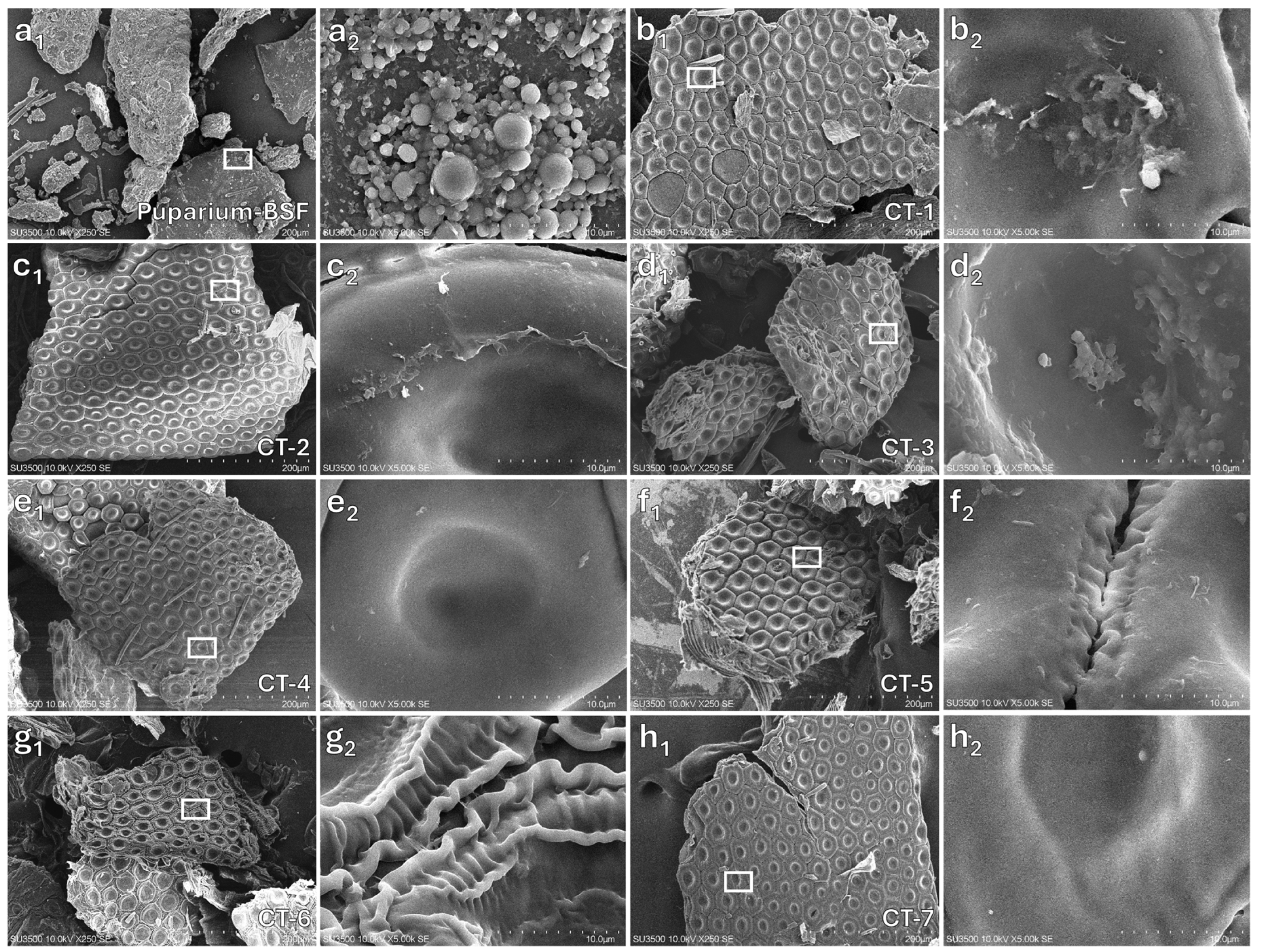 Polysaccharides 06 00026 g002