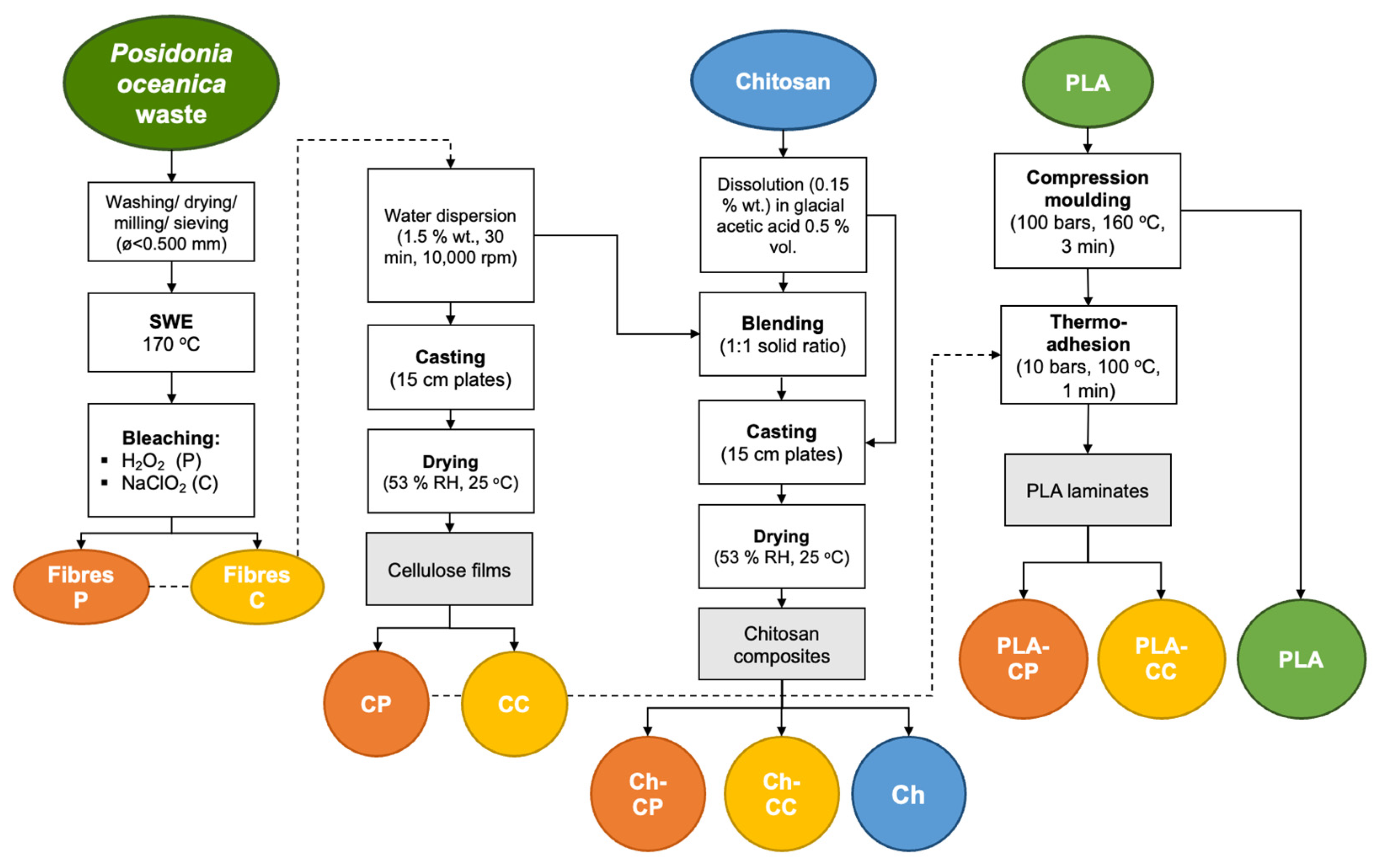 Polysaccharides 06 00027 g001