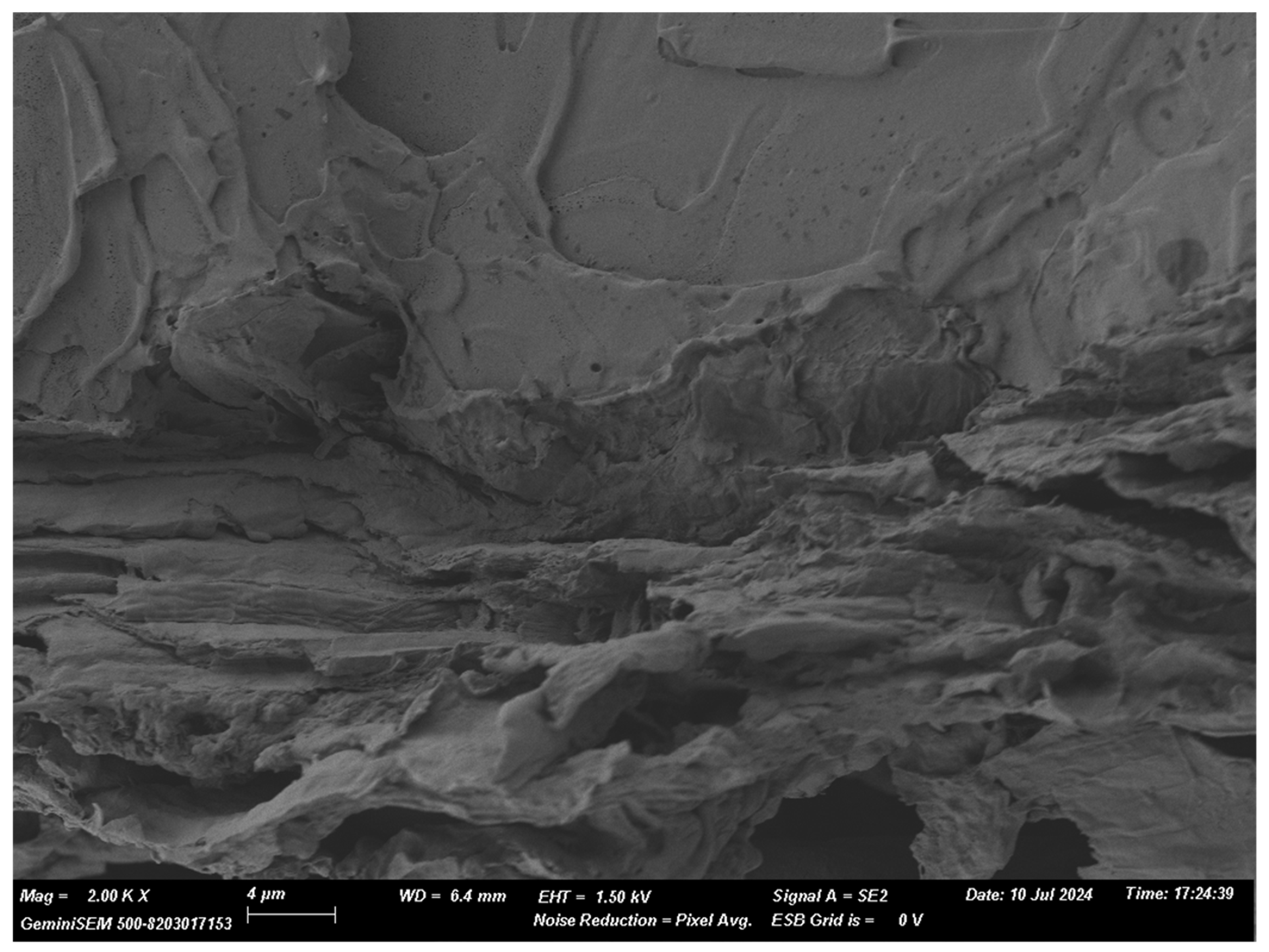 Polysaccharides 06 00027 g005